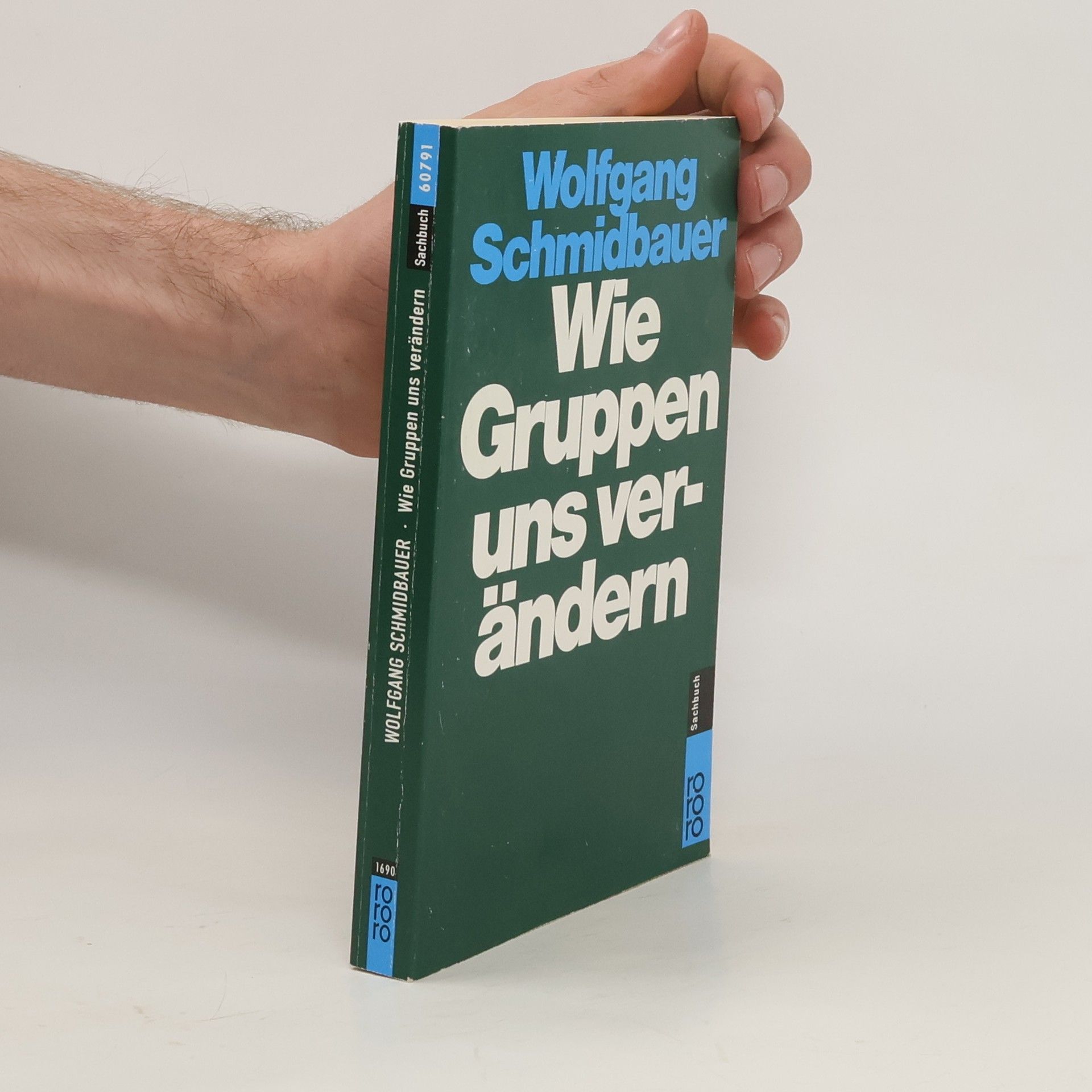 Wolfgang Schmidbauer Wie Gruppen uns verändern