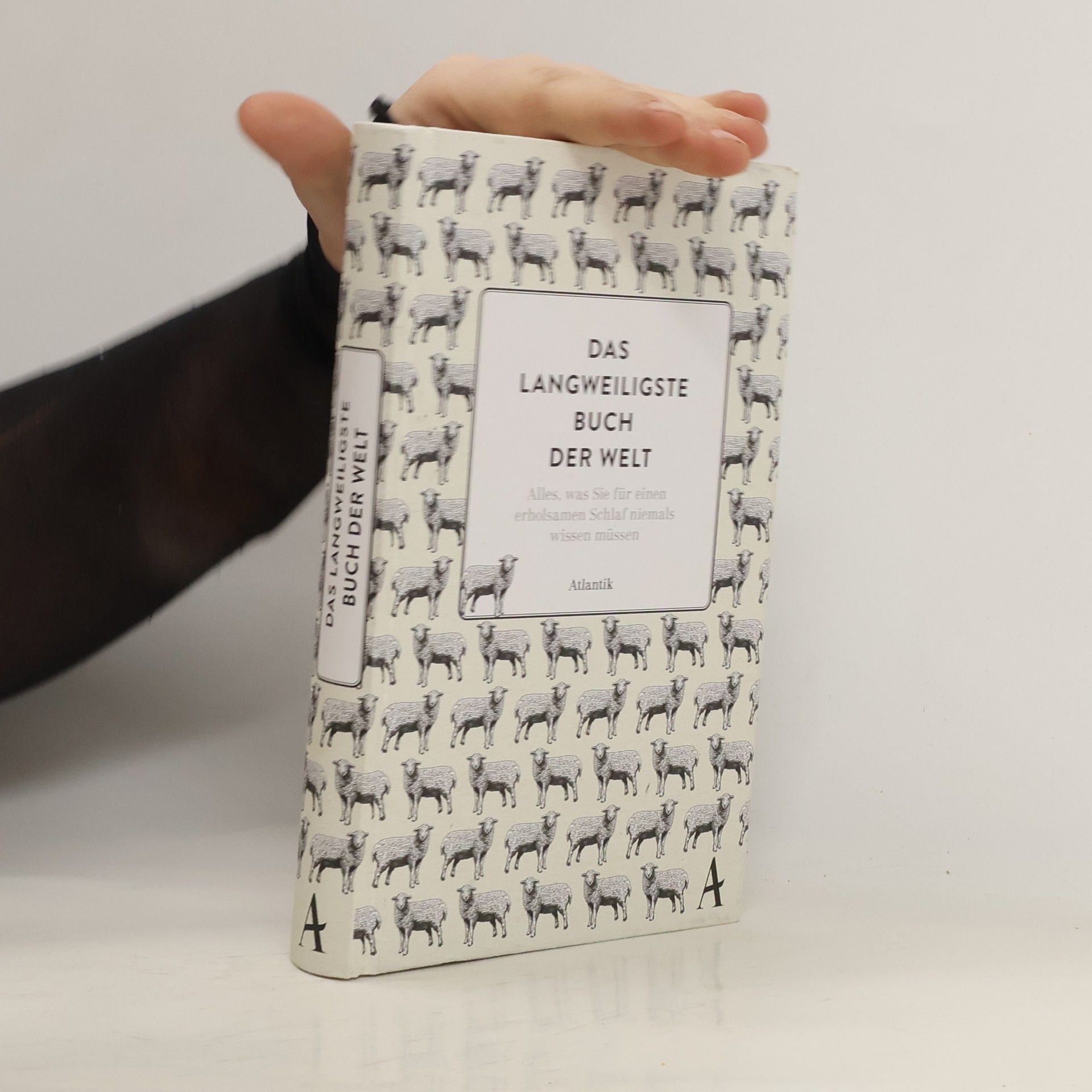 K. McCoy Das langweiligste Buch der Welt