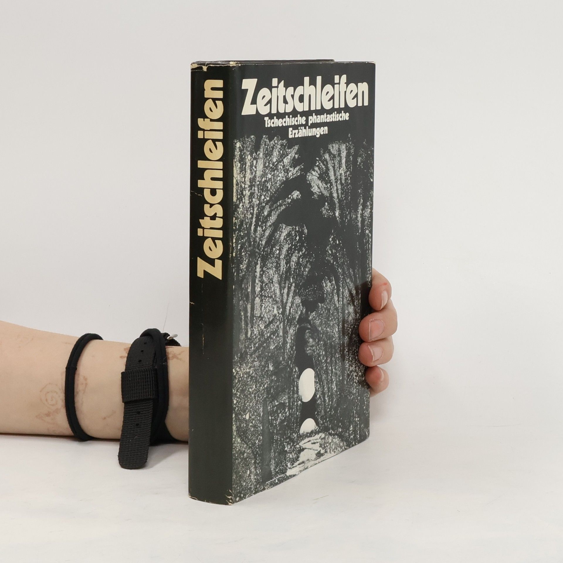 kolektiv Zeitschleifen Tschechische phantastische Erzählungen
