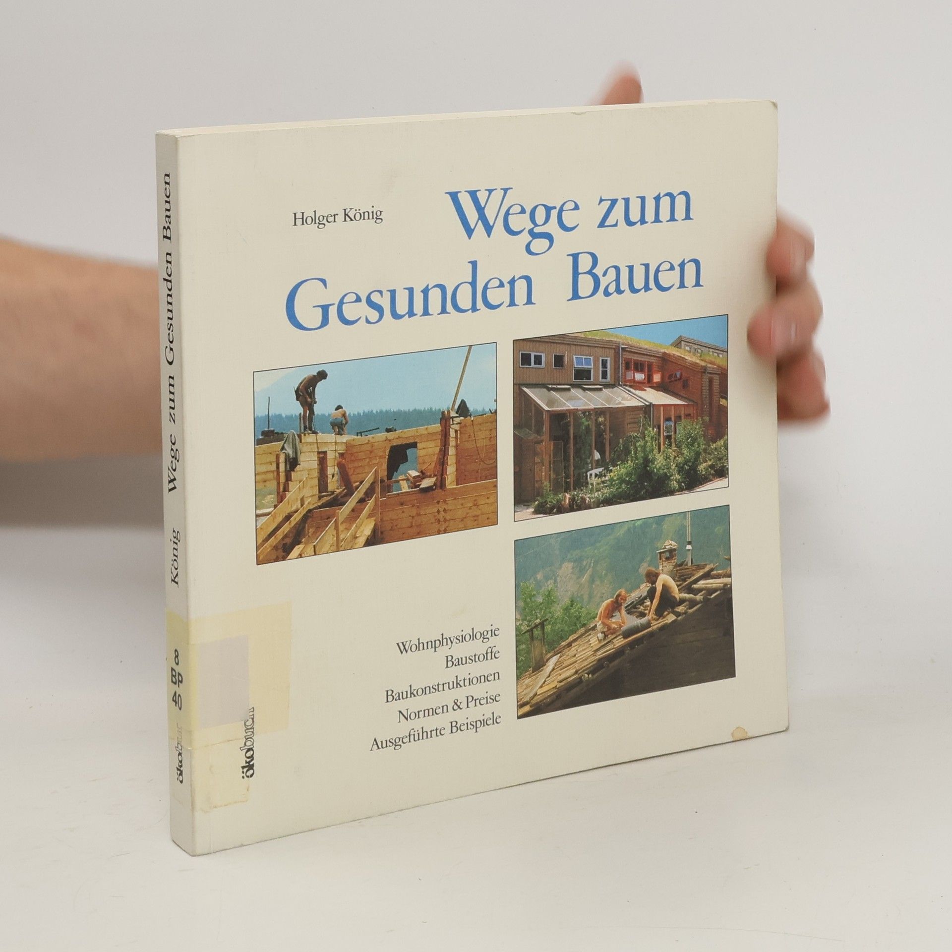 Holger König Wege zum gesunden Bauen