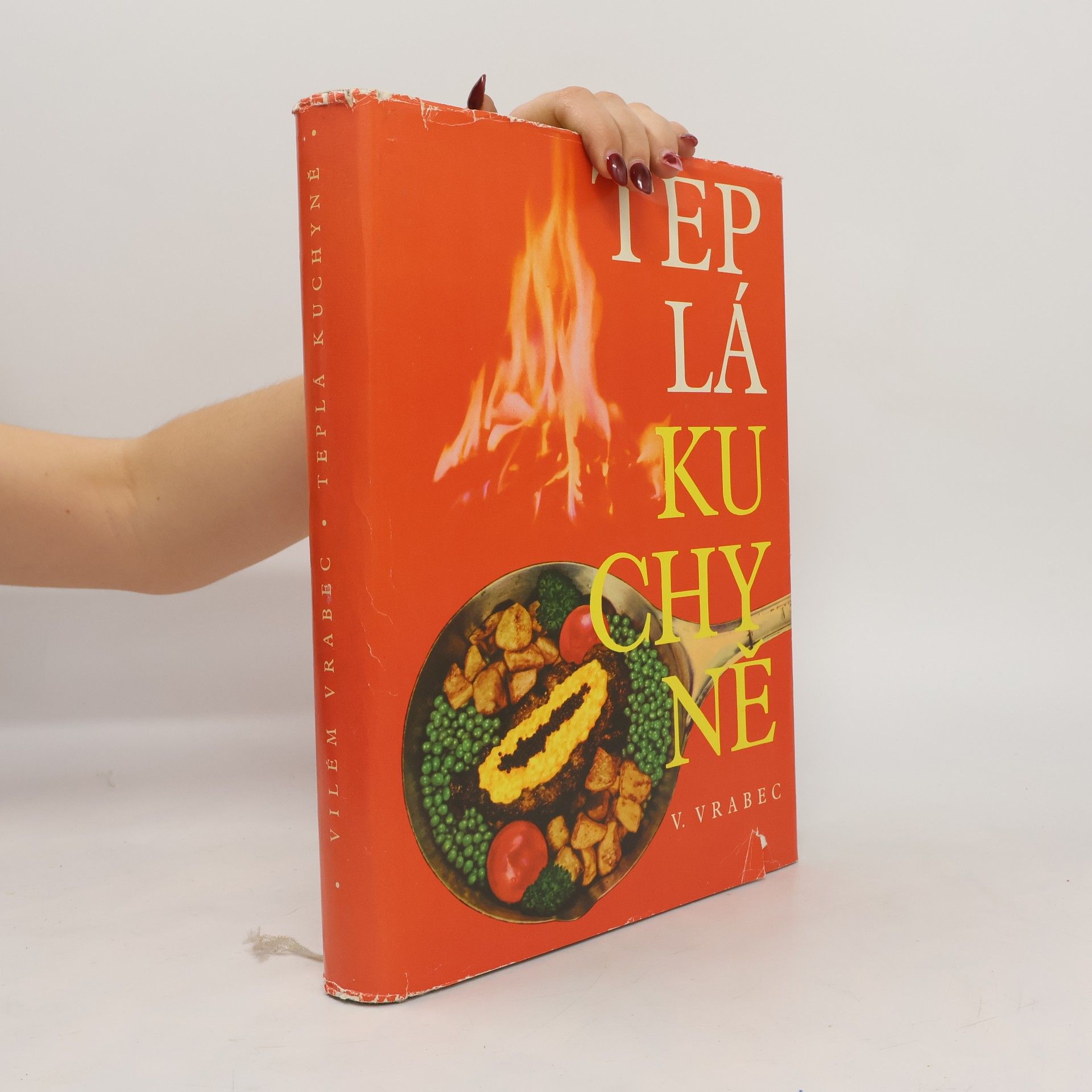 Vilém Vrabec Teplá kuchyně I.