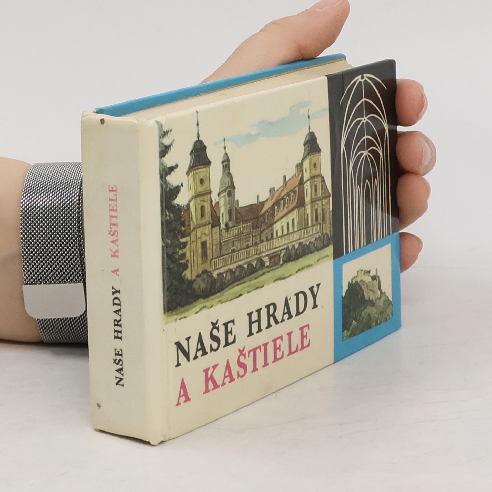 Štefan Pisoň Naše hrady a kaštiele