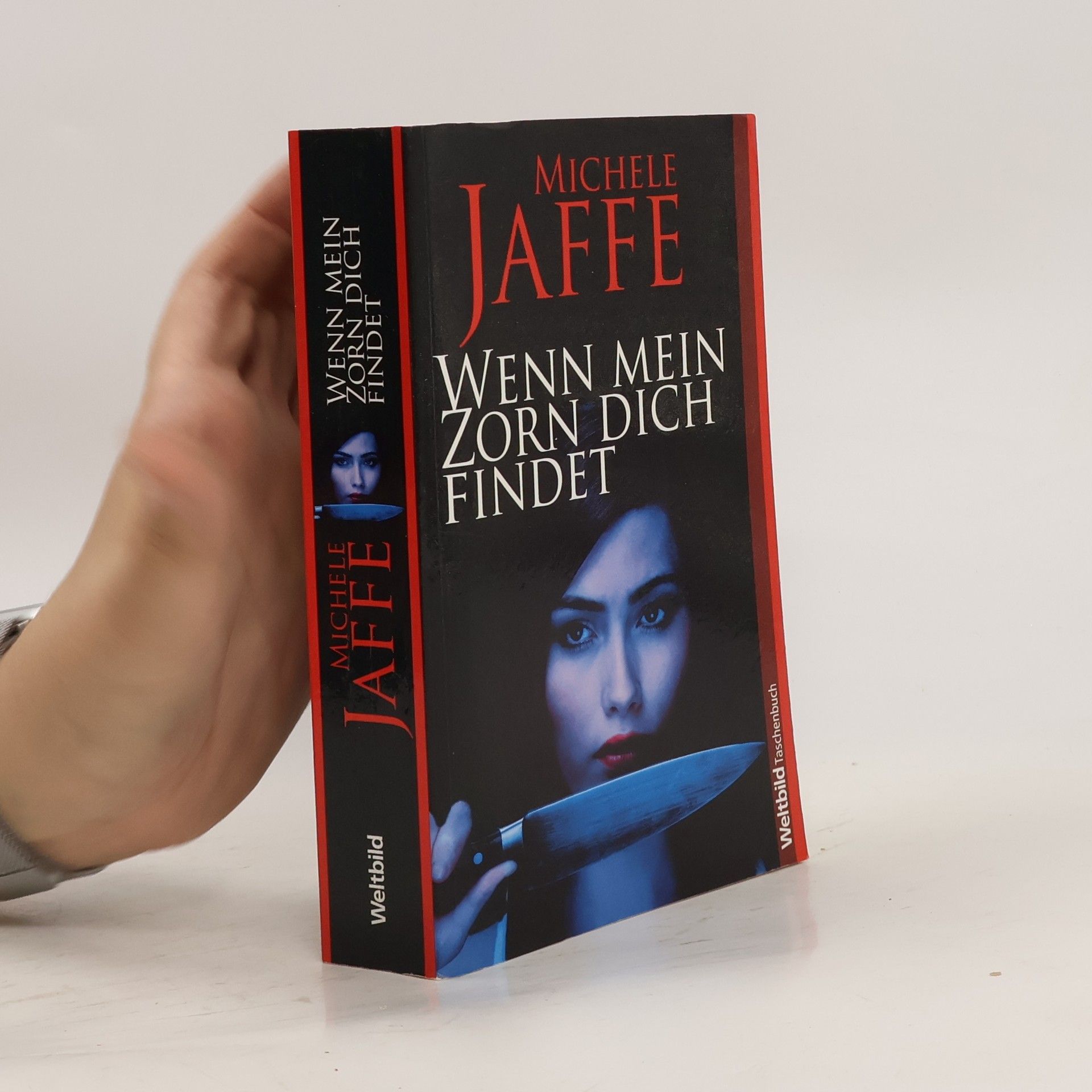 Michele Jaffe Wenn mein Zorn dich findet