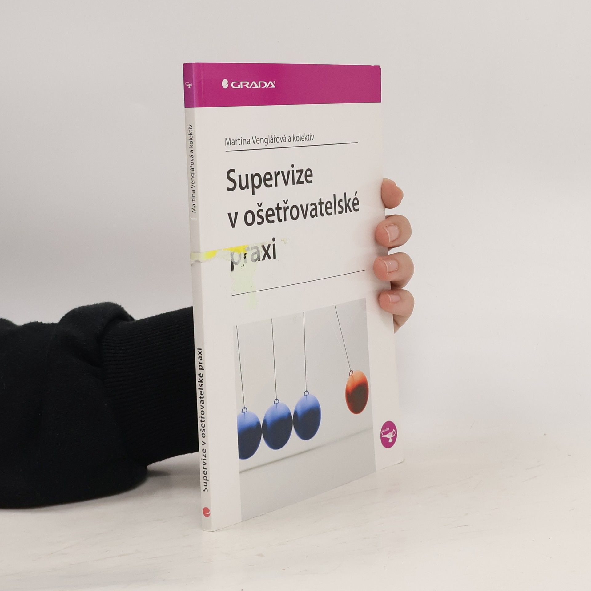 Martina Venglářová Supervize v ošetřovatelské praxi
