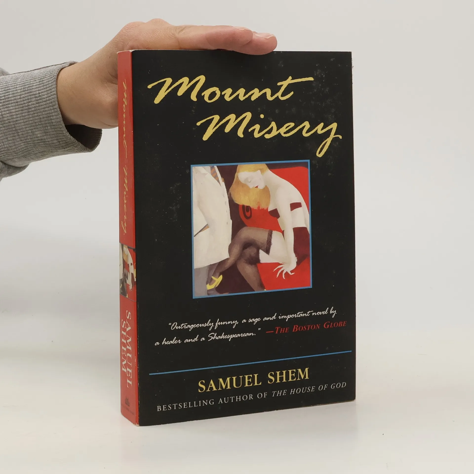 Mount Misery | Book | Samuel Shem | EN