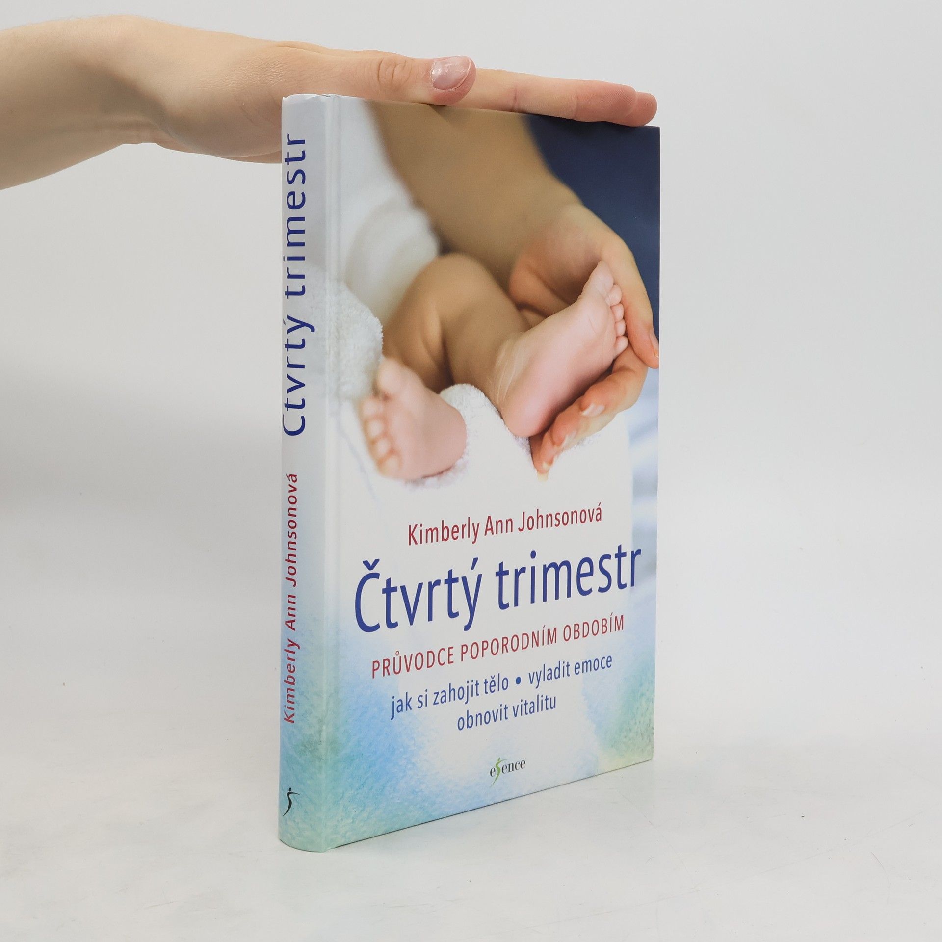 Kimberly Ann Johnson Čtvrtý trimestr: Průvodce poporodním obdobím