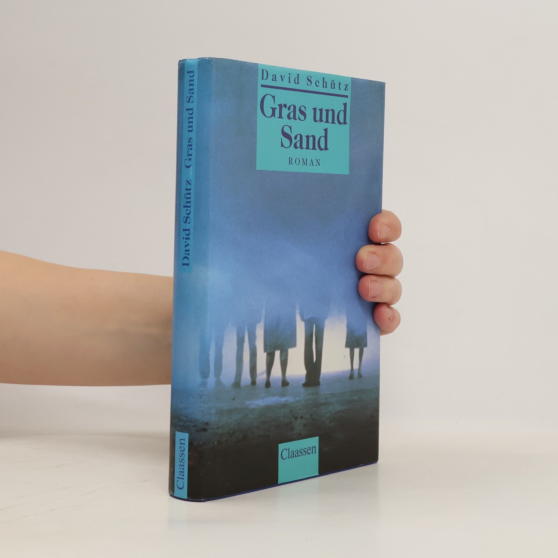 Daṿid Shits Gras und Sand