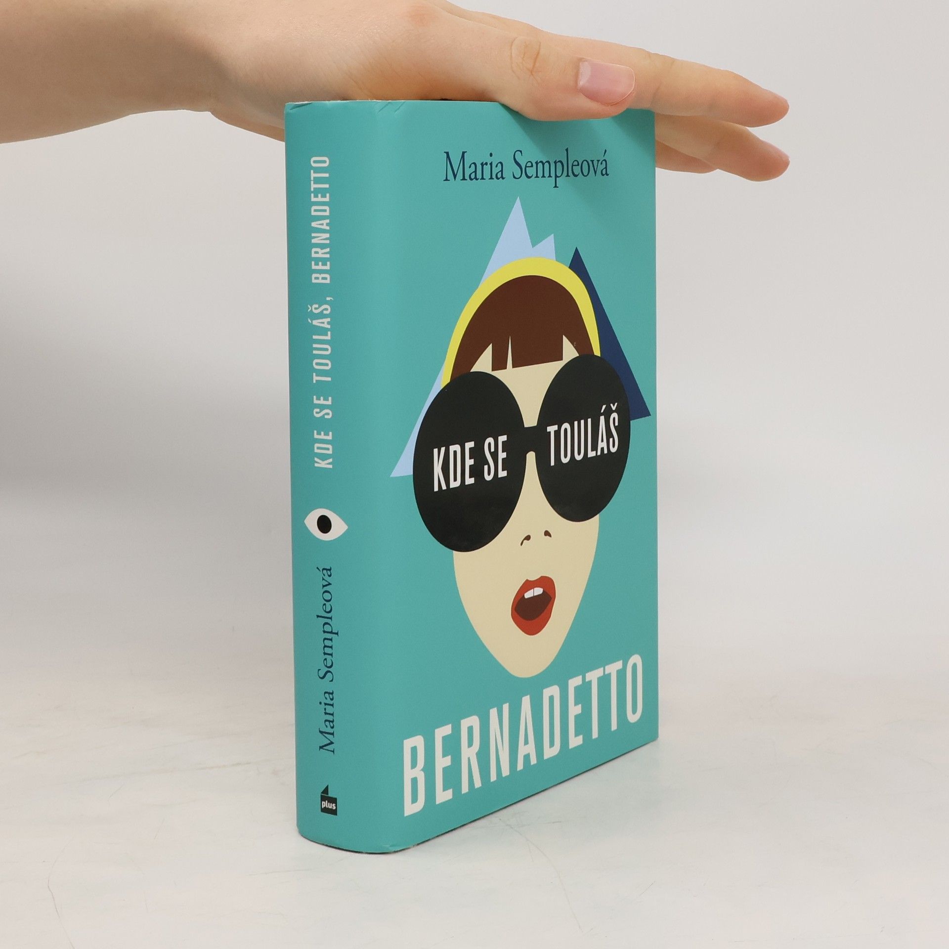 Maria Semple Kde se touláš, Bernadetto