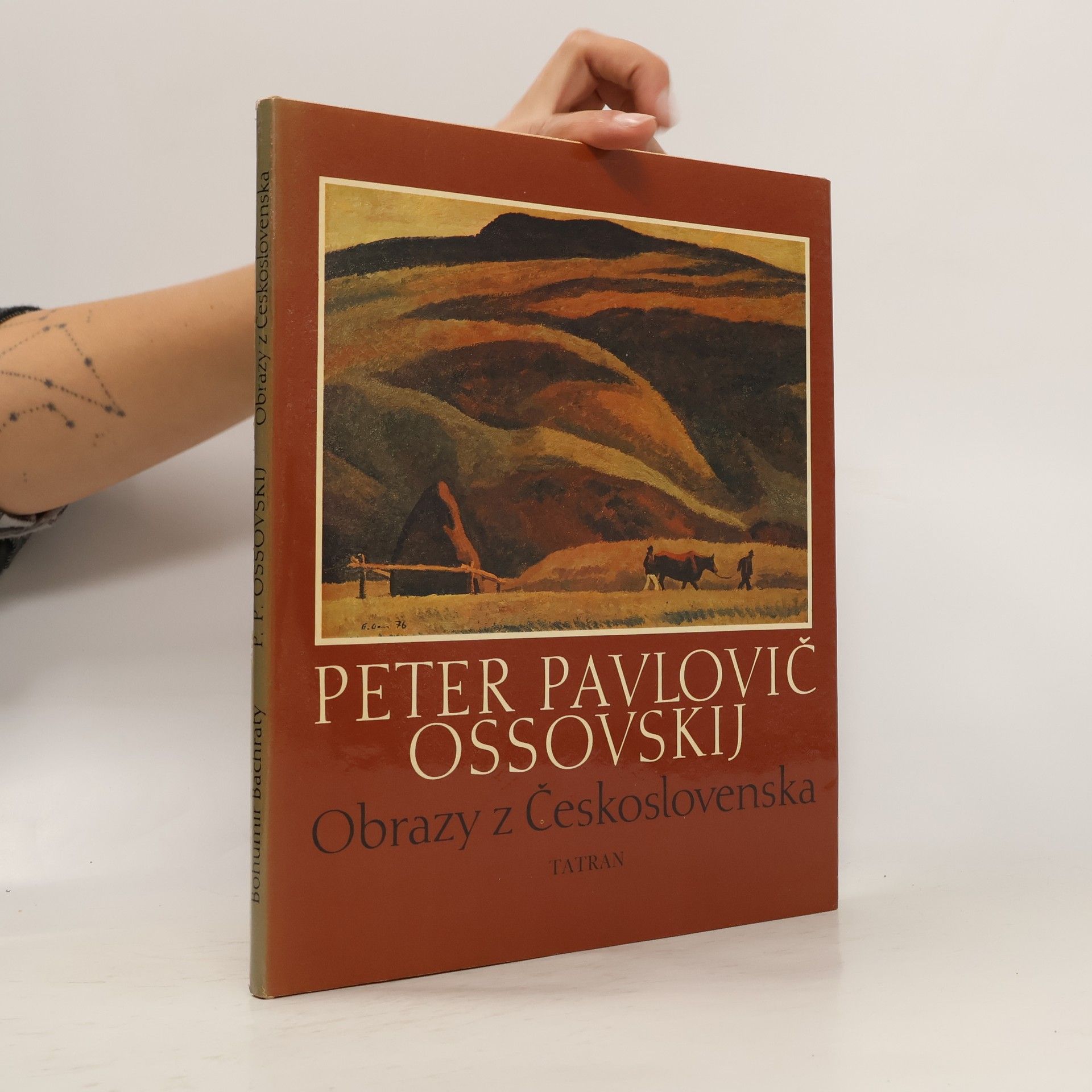Peter Pavlovič Ossovskij Obrazy z Československa