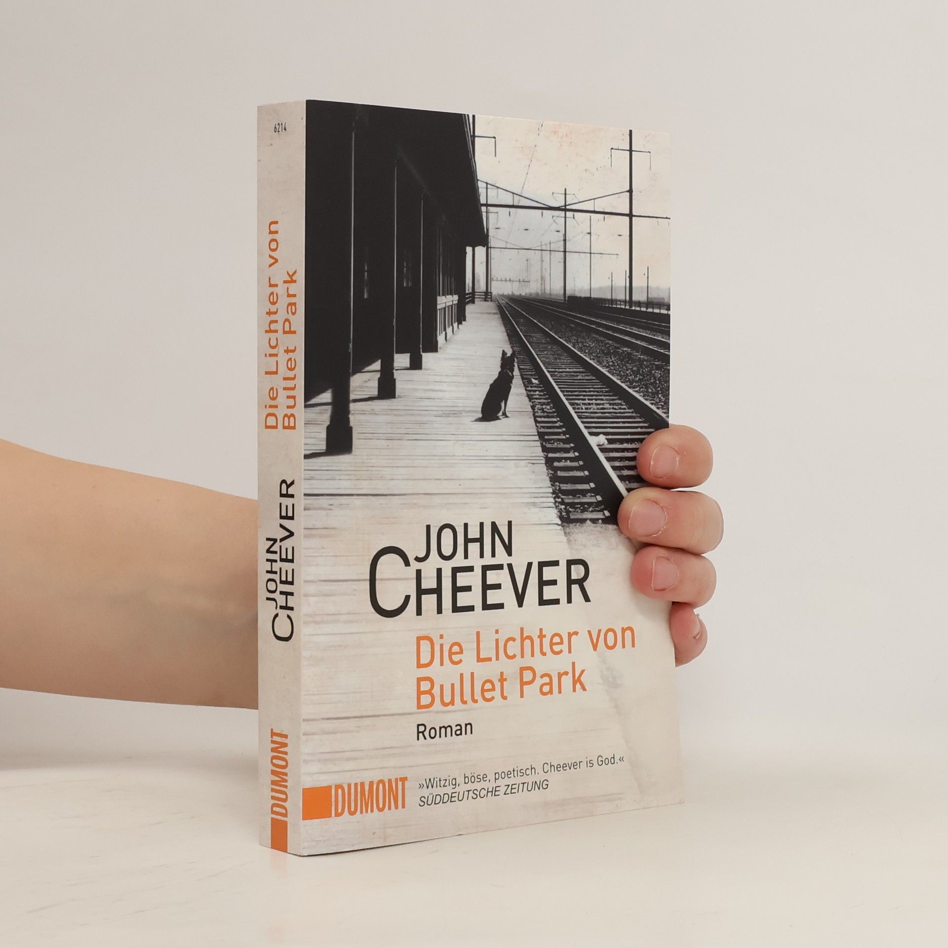 John Cheever Die Lichter von Bullet Park