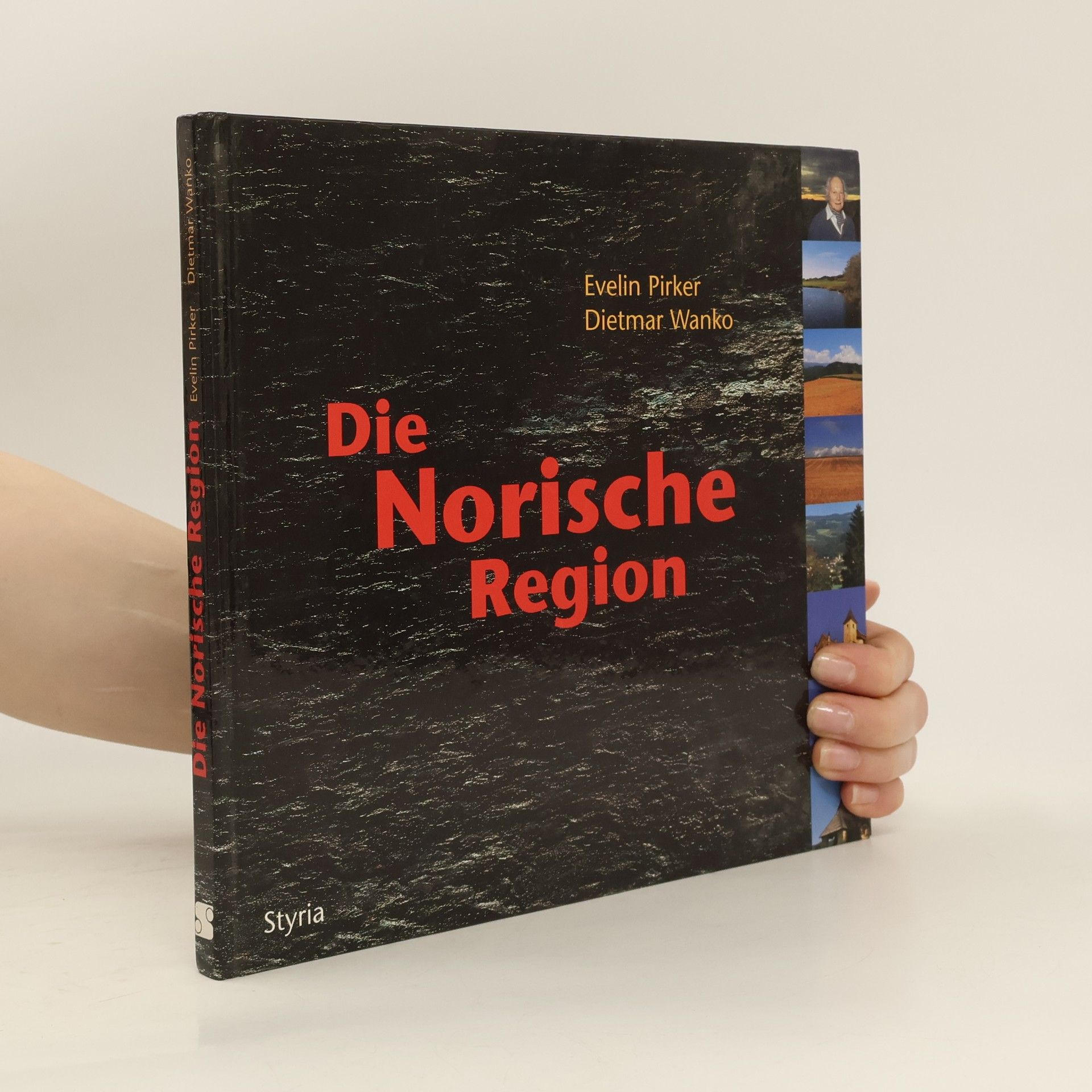 Evelin Pirker Die norische Region