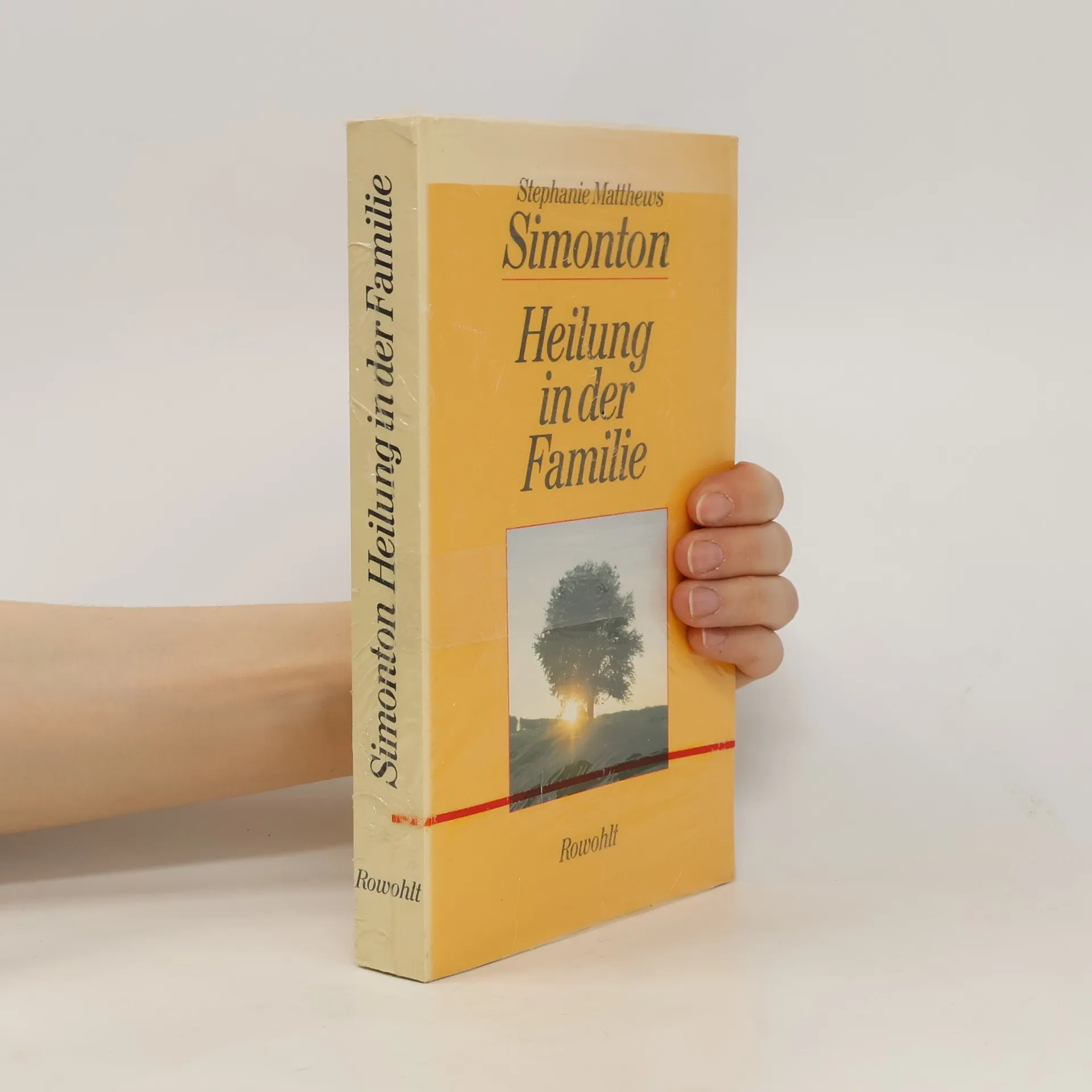 Heilung in der Familie | Kniha | Stephanie Simonton | DE