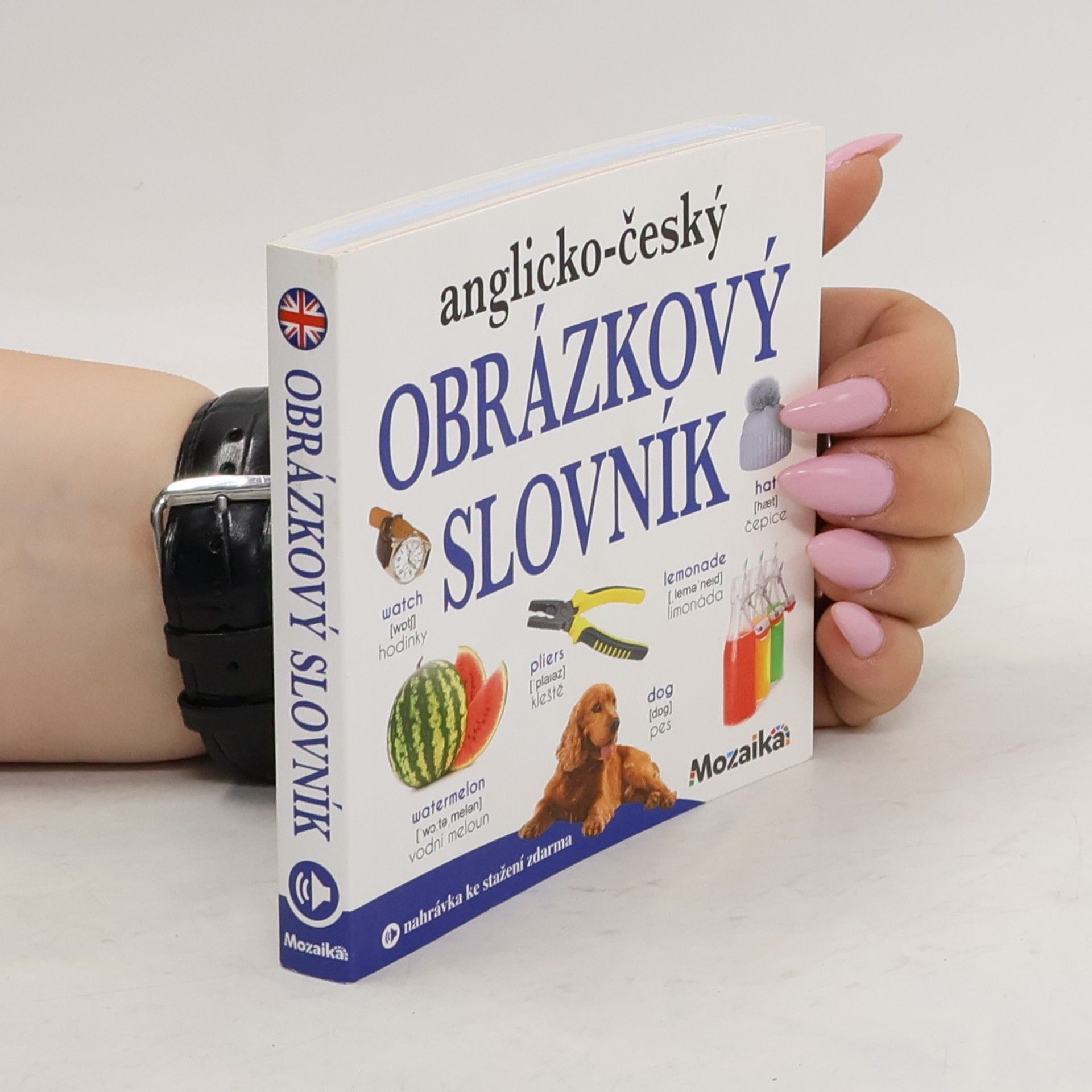 kolektiv Anglicko-český obrázkový slovník Obrázkový slovník