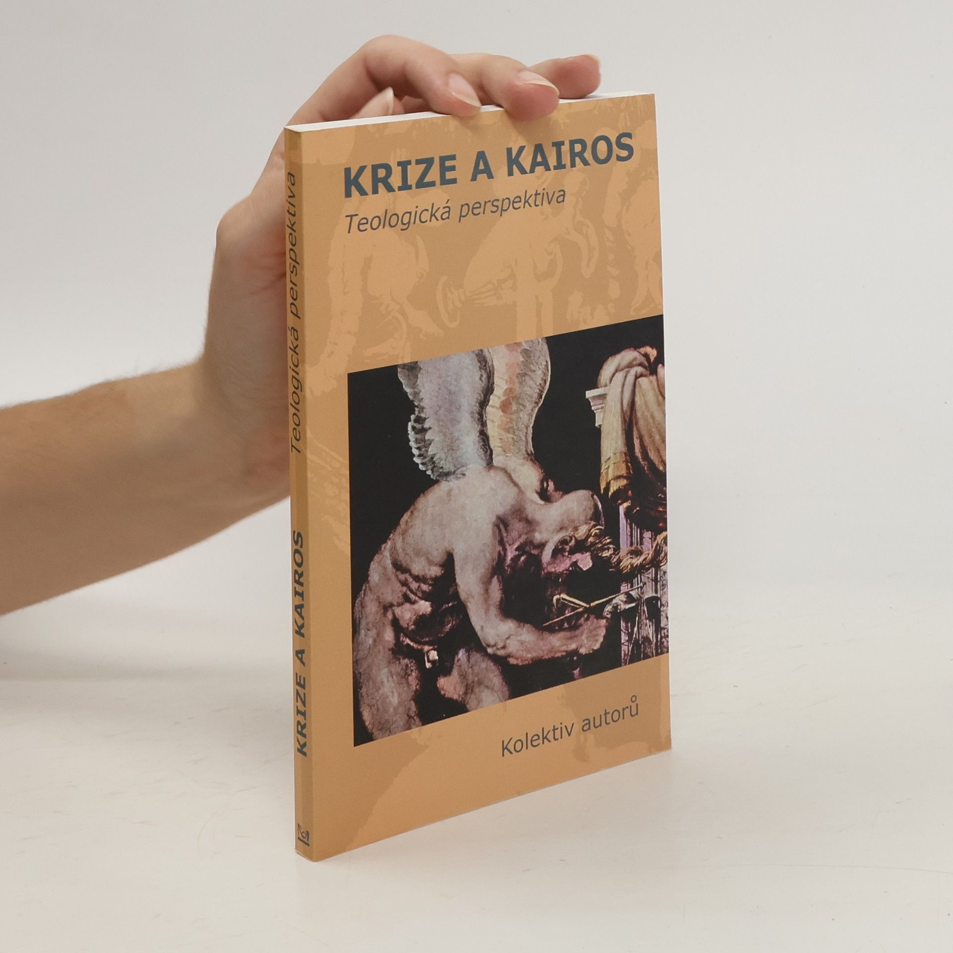 Prokop Brož Krize a kairos : teologická perspektiva
