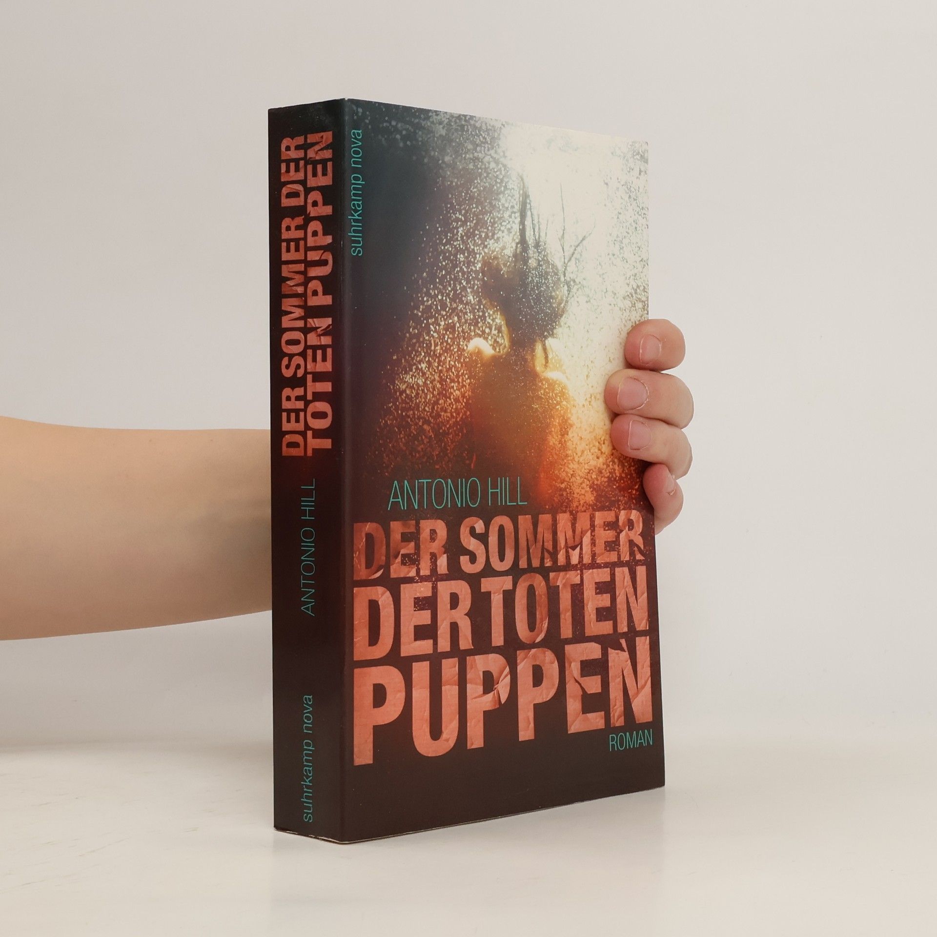 Toni Hill Der Sommer der Toten Puppen