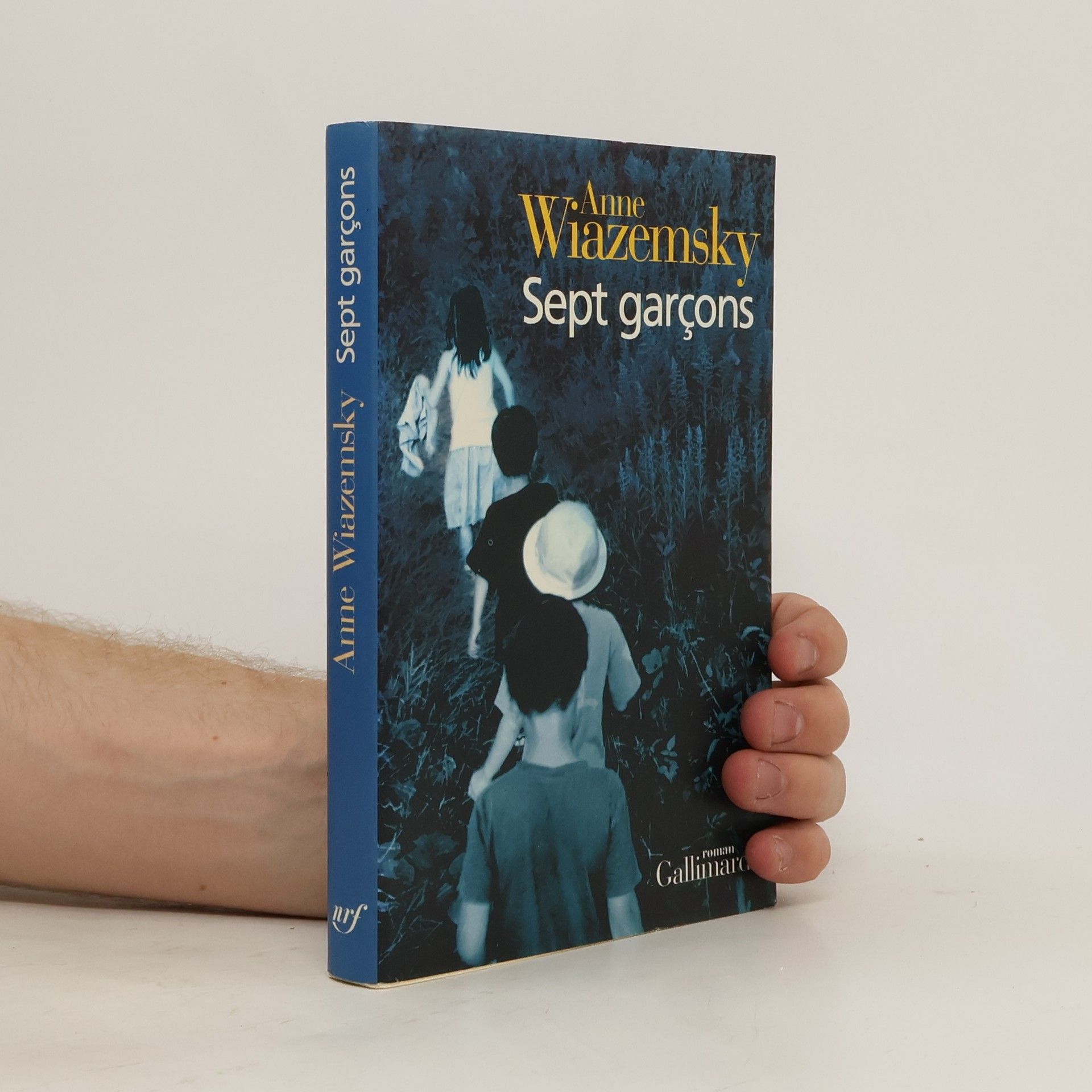 Anne Wiazemsky Sept garçons
