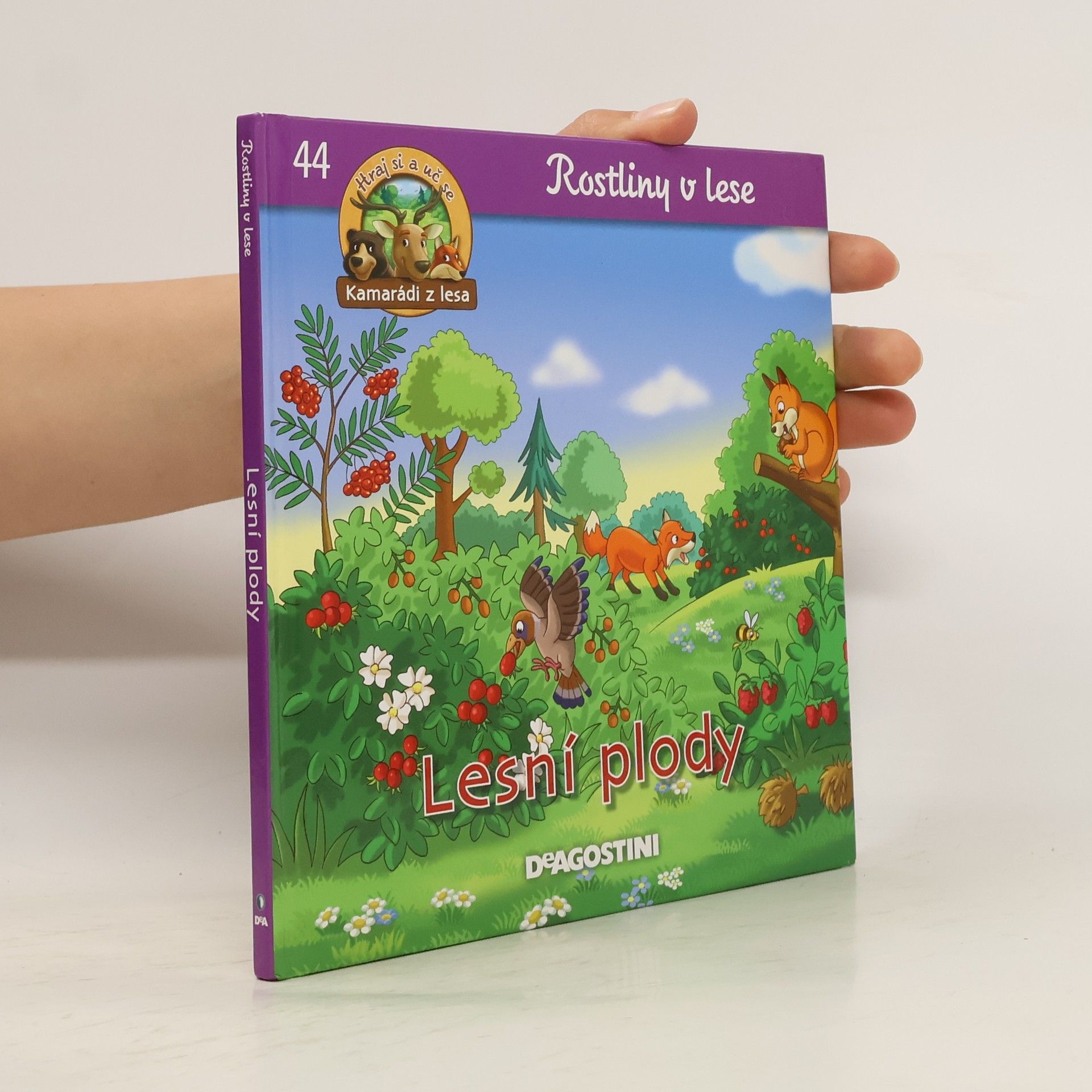 Autorenkollektiv Rostliny v lese 44: Lesní plody