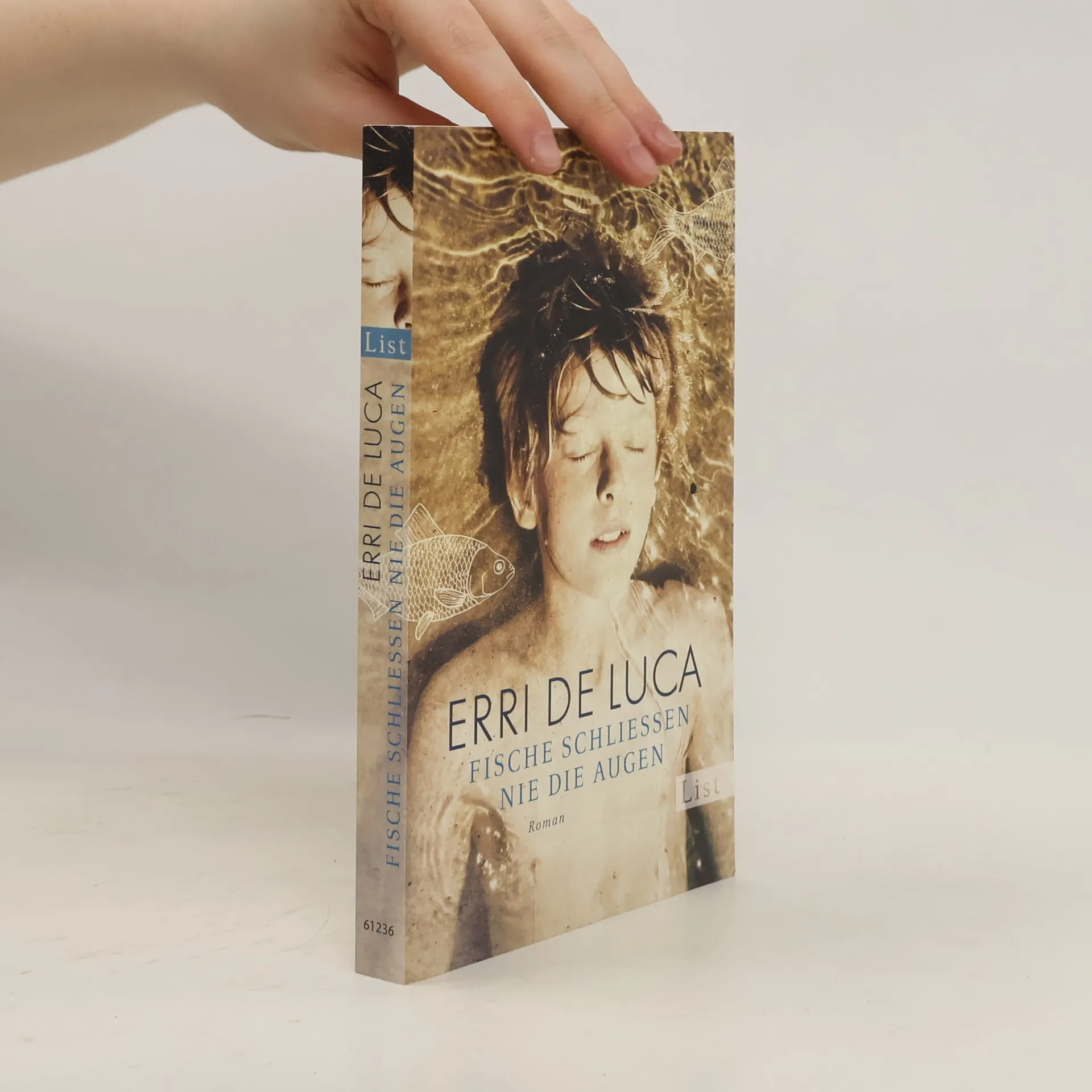 Fische schließen nie die Augen | Book | Erri De Luca | DE