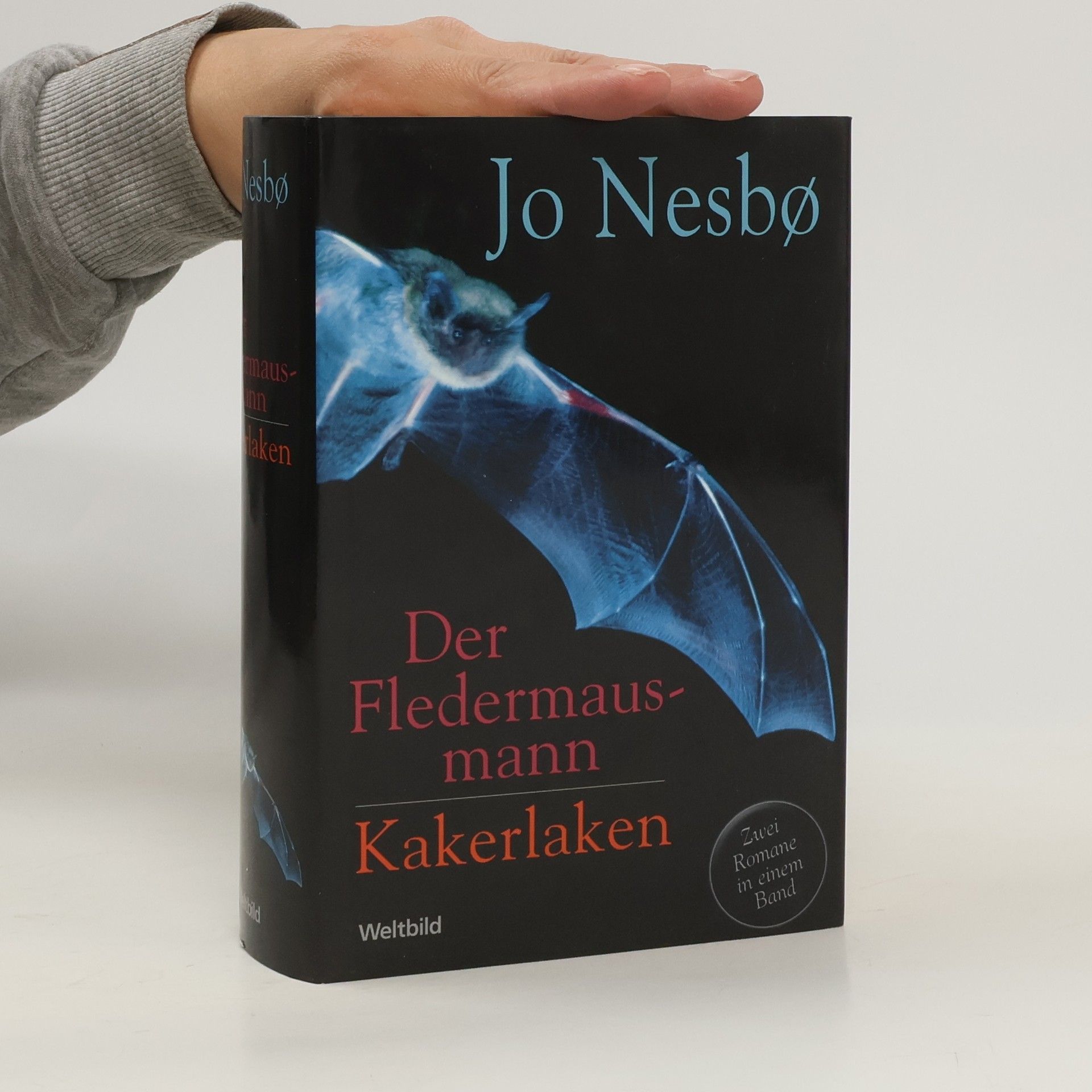 Jo Nesbø Der Fledermausmann