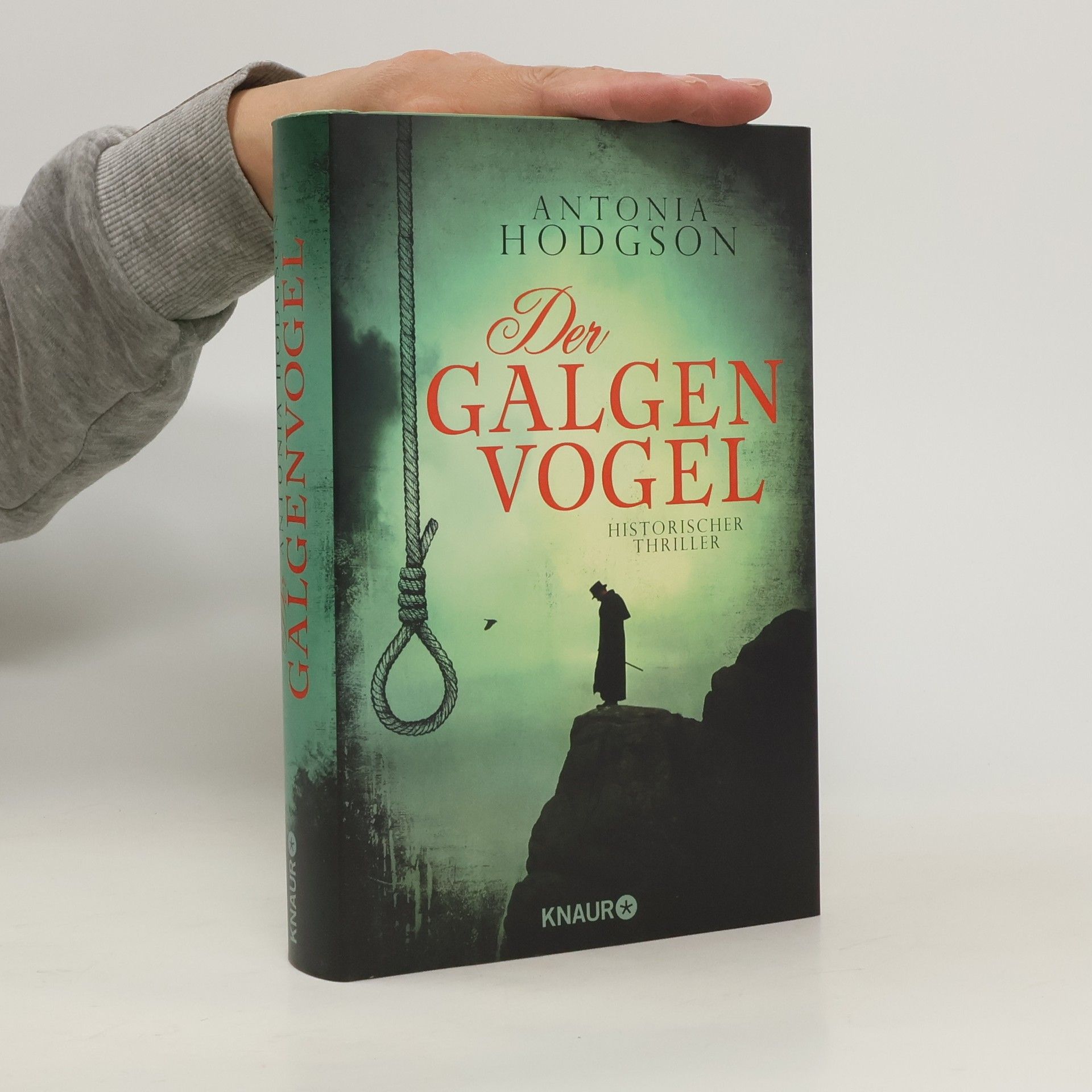 Antonia Hodgson Der Galgenvogel