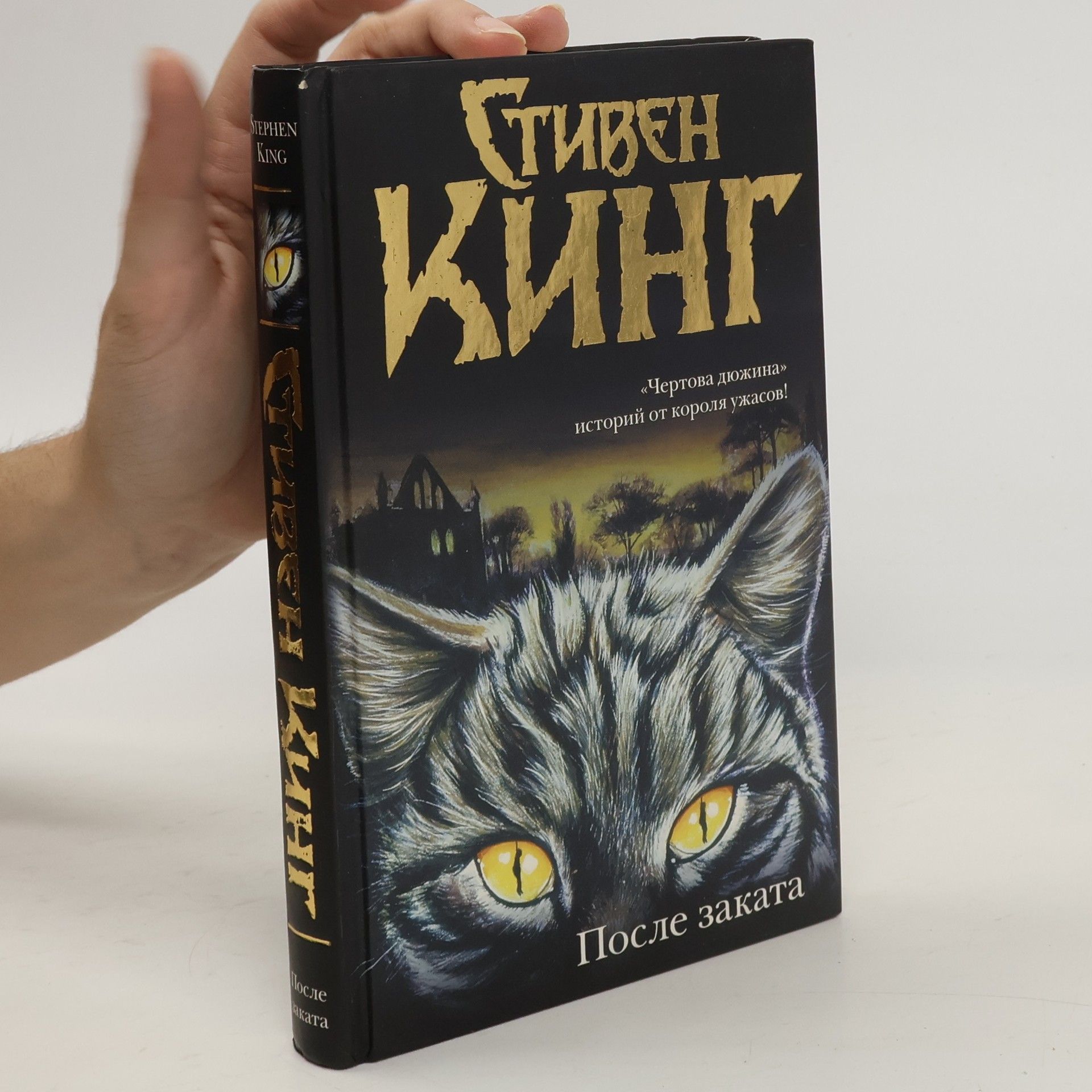 Стивен Кинг После заката