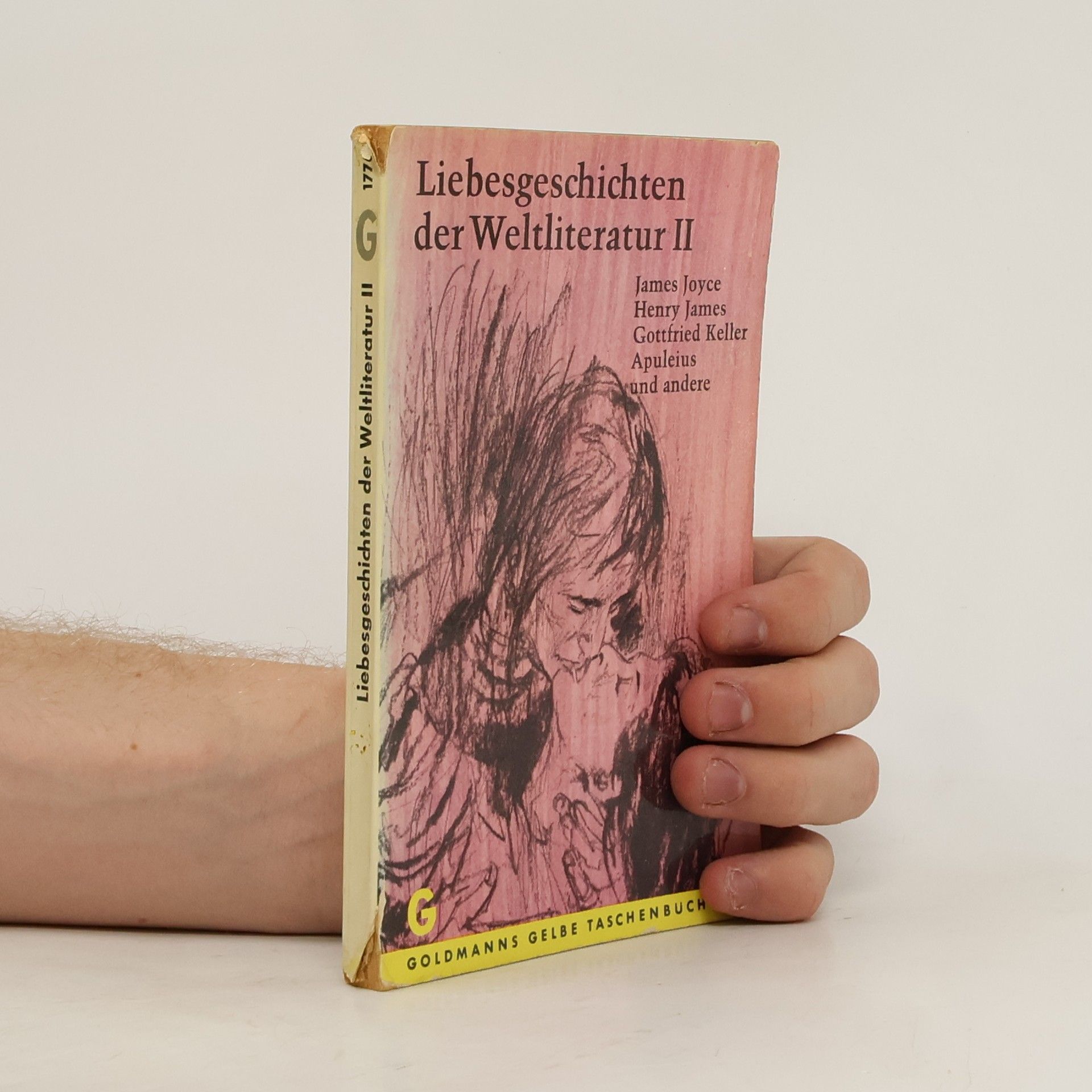 kolektiv Liebesgeschichten der Weltliteratur II