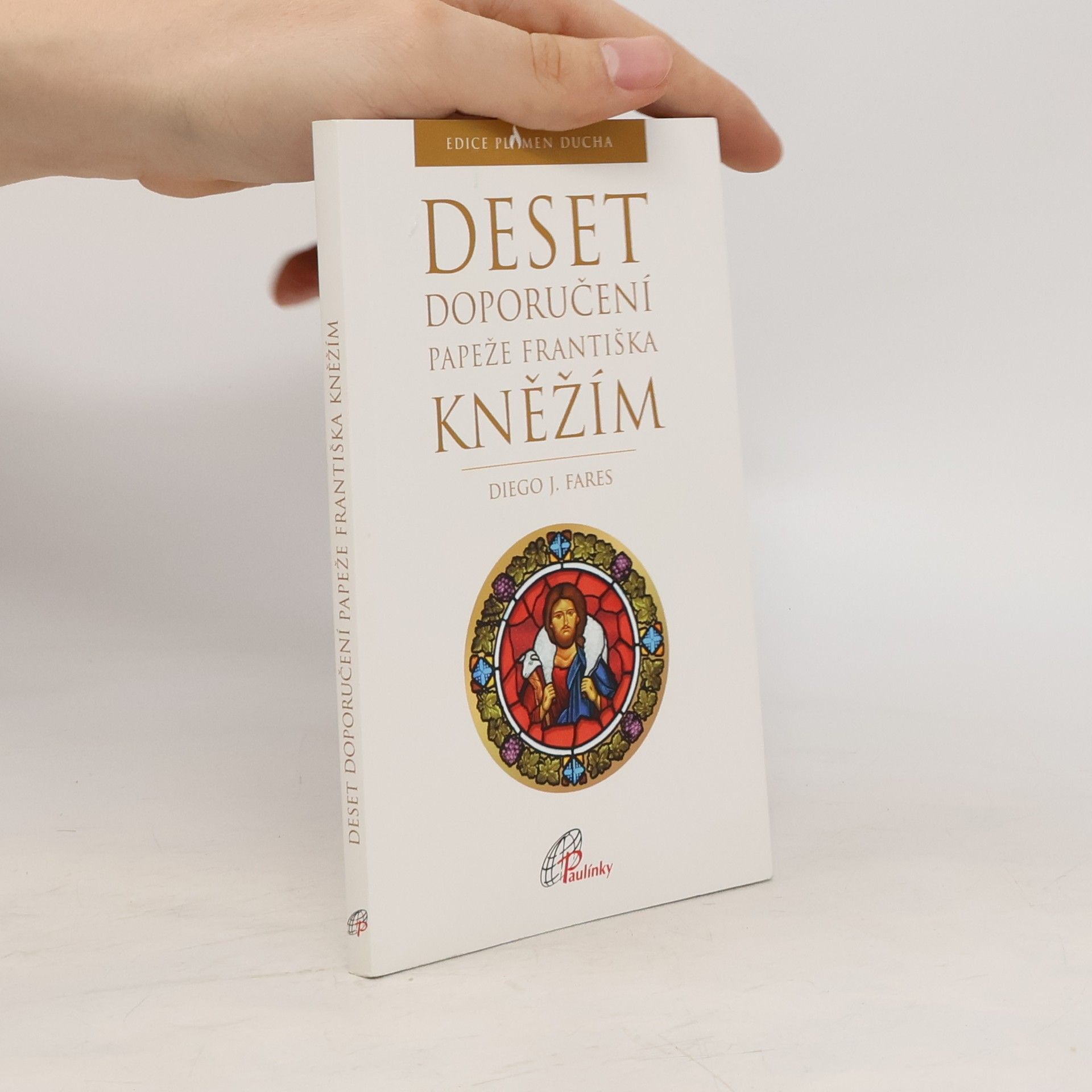 Diego J. Fares Deset doporučení papeže Františka kněžím