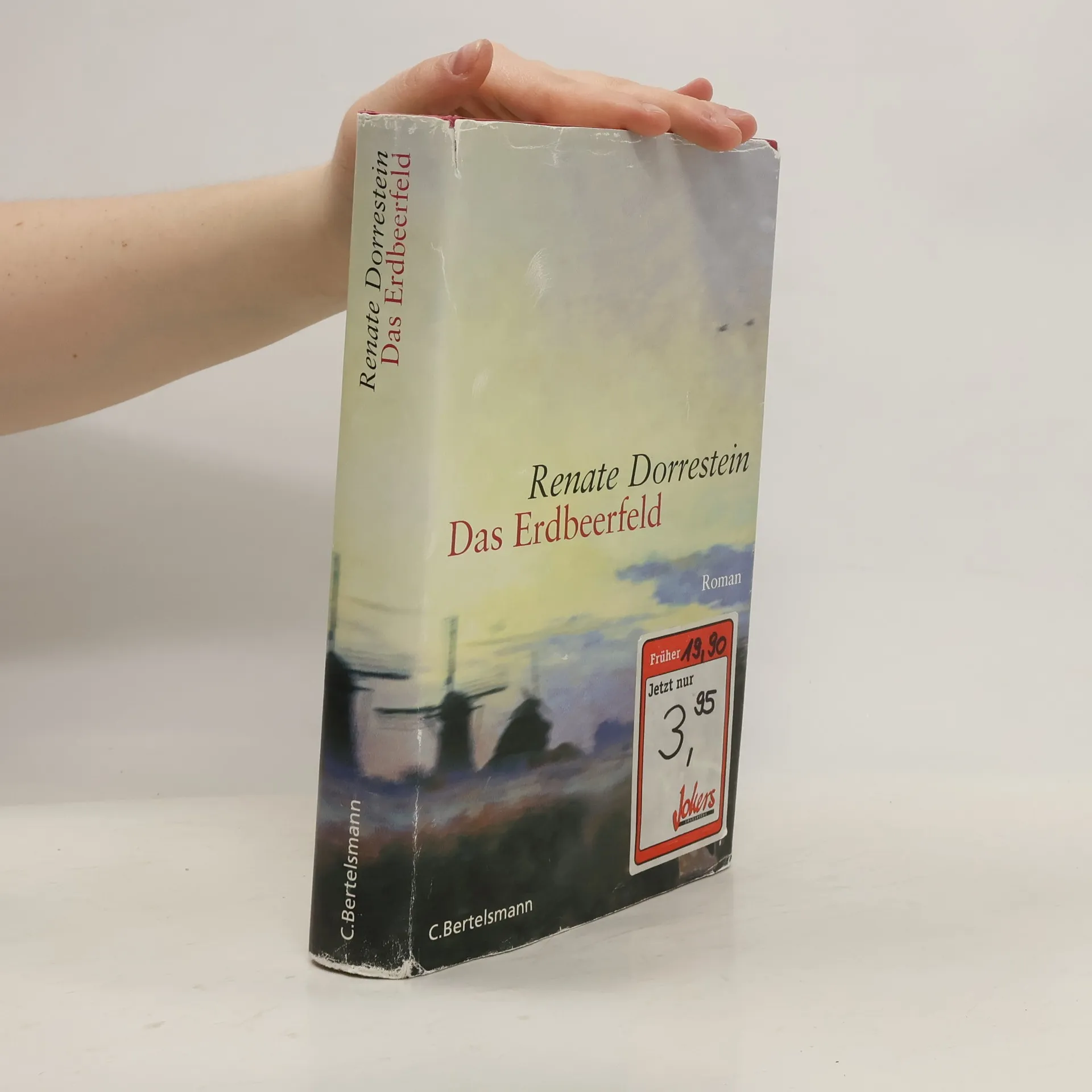 Das Erdbeerfeld | Buch | Renate Dorrestein