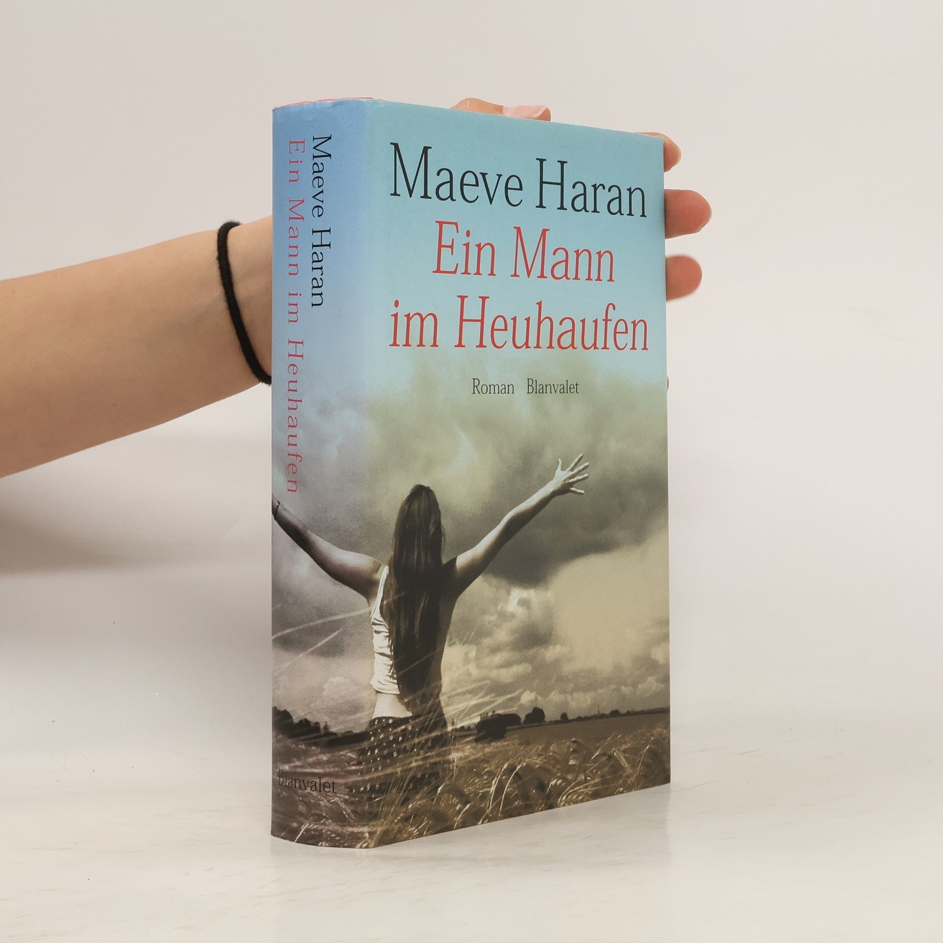 Maeve Haran Ein Mann im Heuhaufen