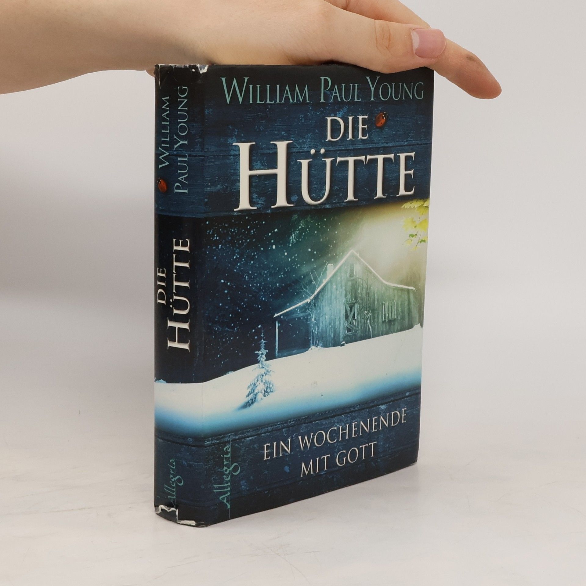 William P. Young Die Hütte