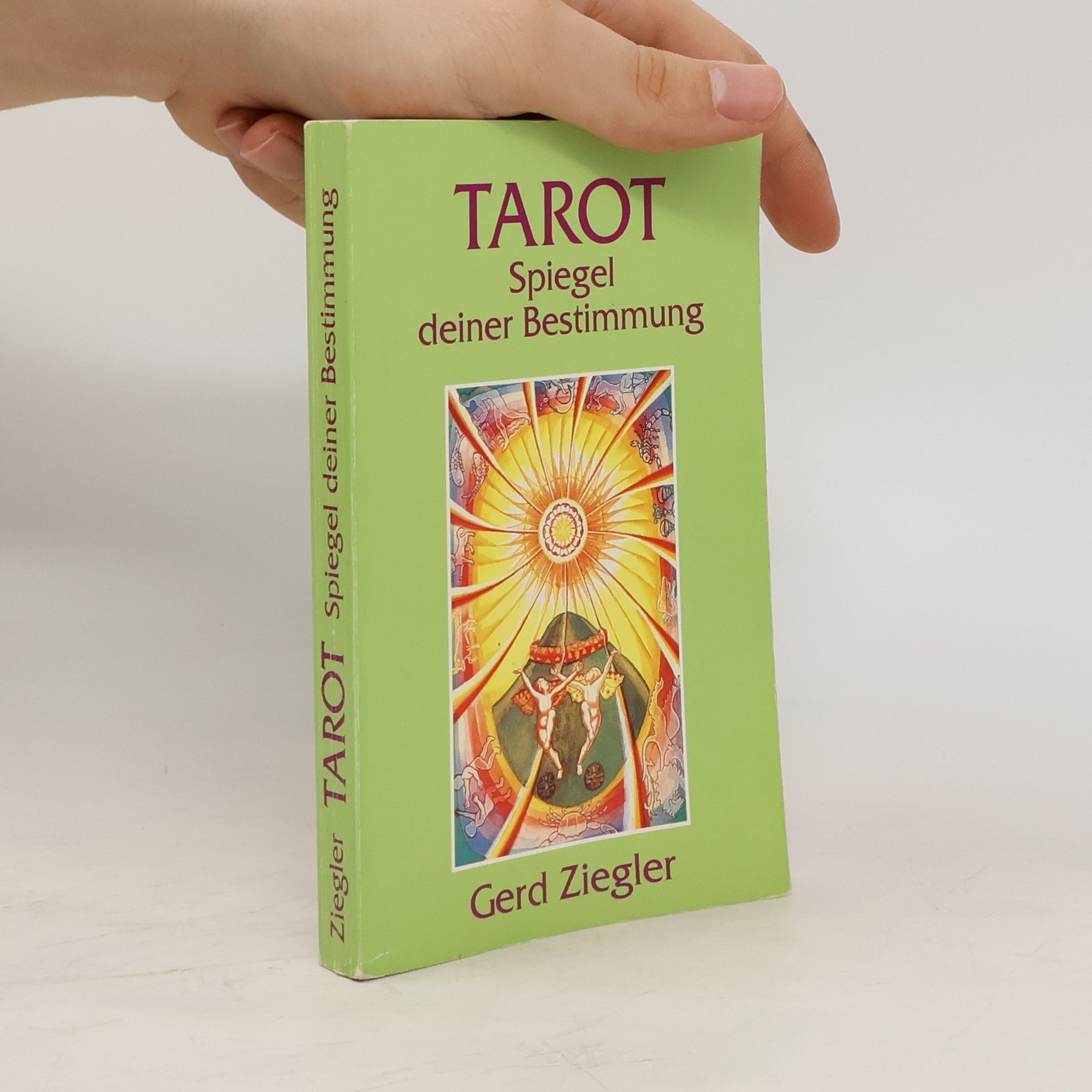 Gerd Ziegler Tarot. Spiegel deiner Bestimmung