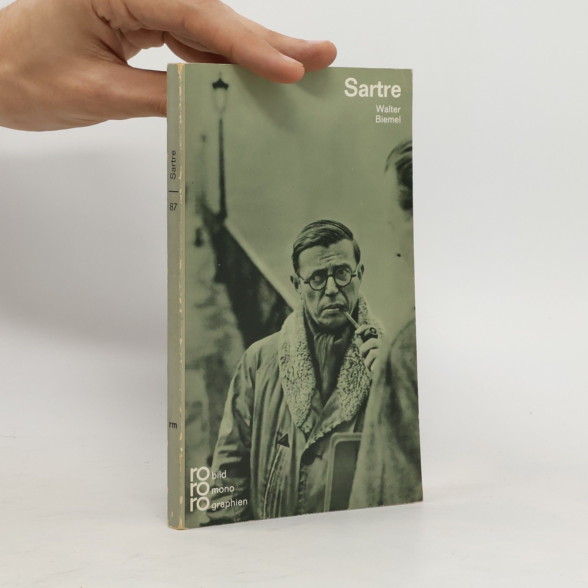 Walter Biemel Sartre