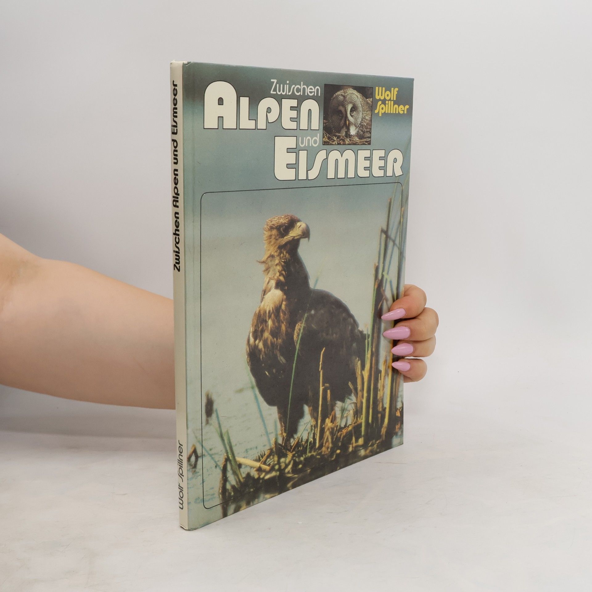 Wolf Spillner Zwischen Alpen und Eismeer