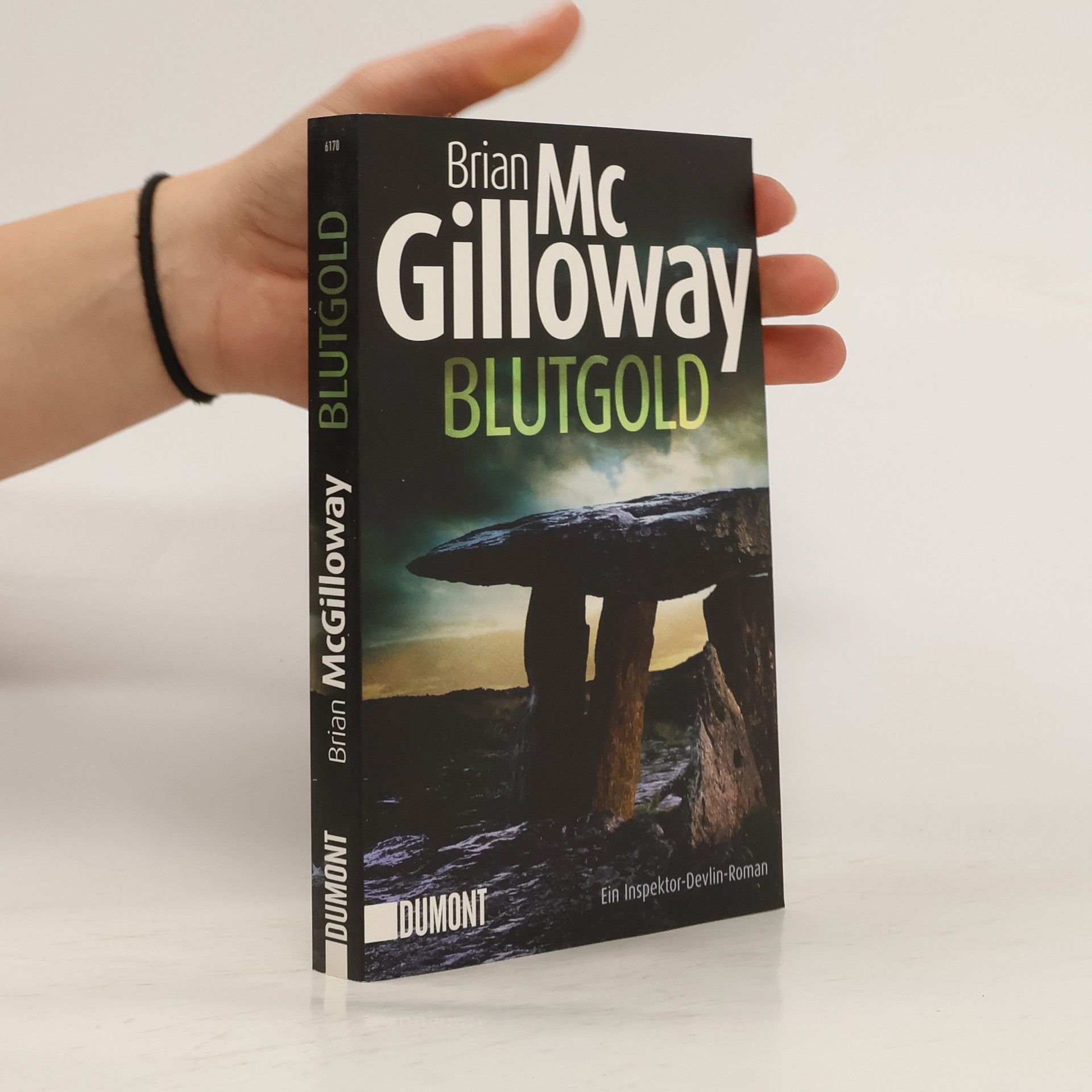 Brian McGilloway Blutgold