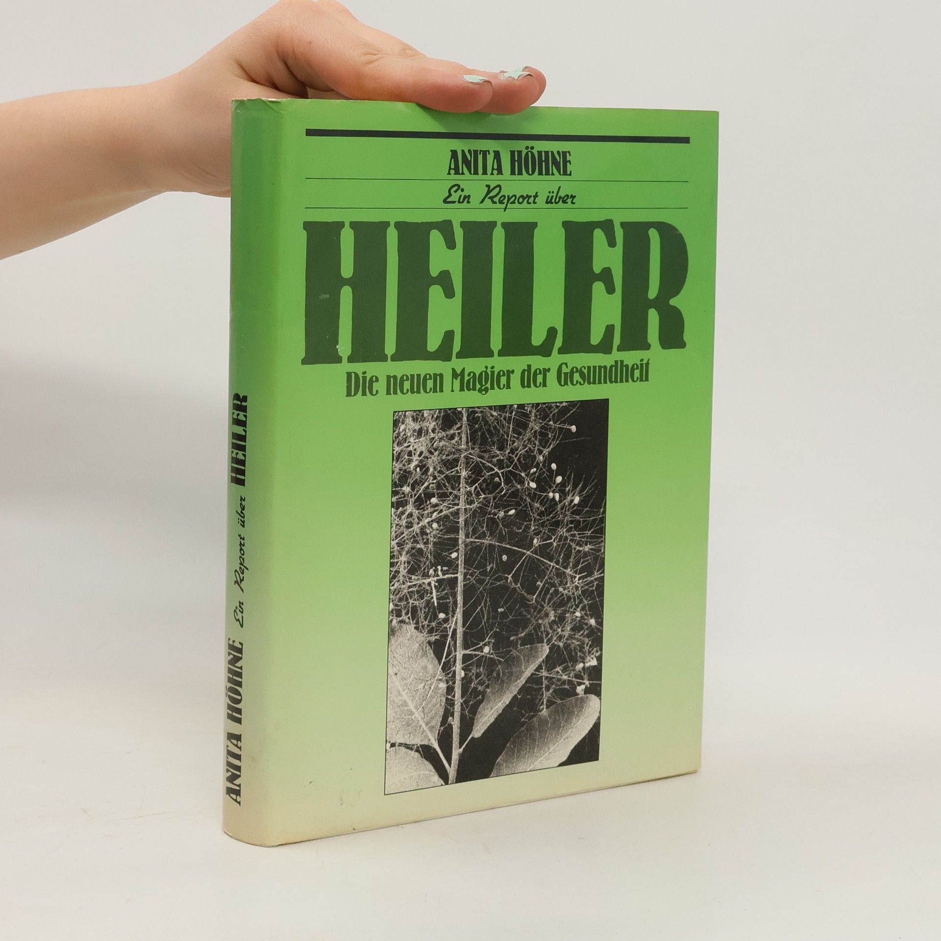 Anita Höhne Ein Report über Heiler. Die neuen Magier der Gesundheit