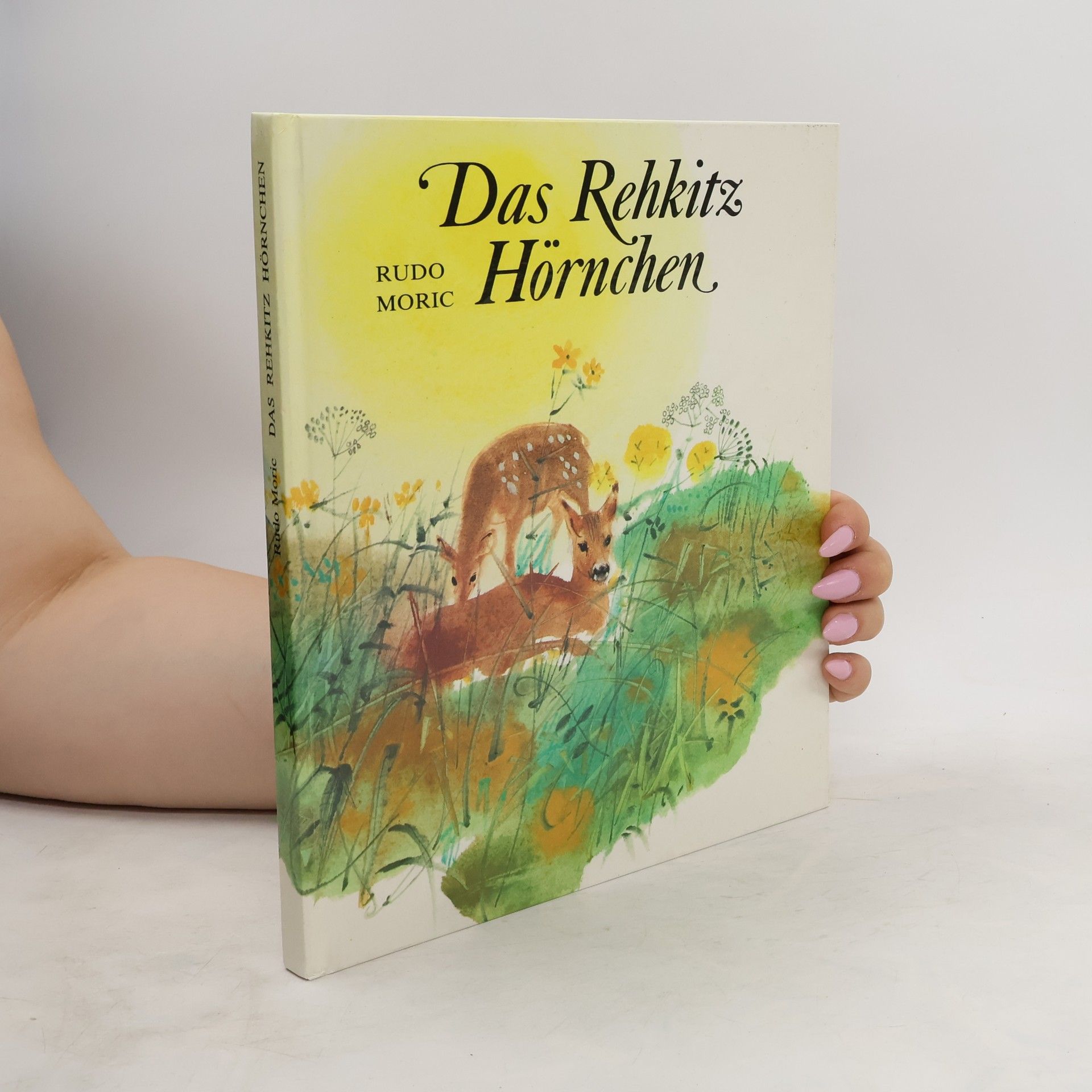 Rudo Moric Das Rehkitz Hörnchen