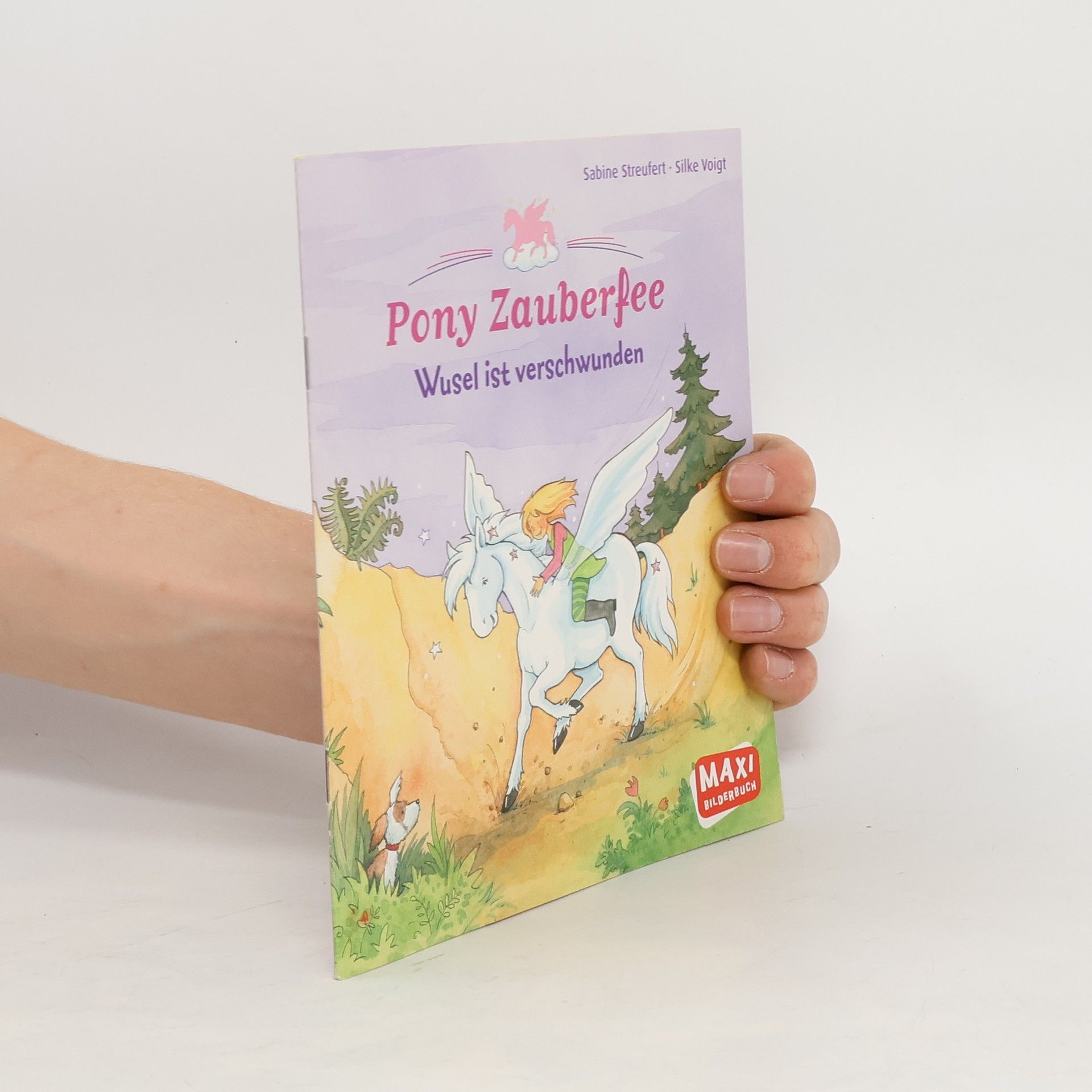 Sabine Streufert Pony Zauberfee: Wusel ist verschwunden