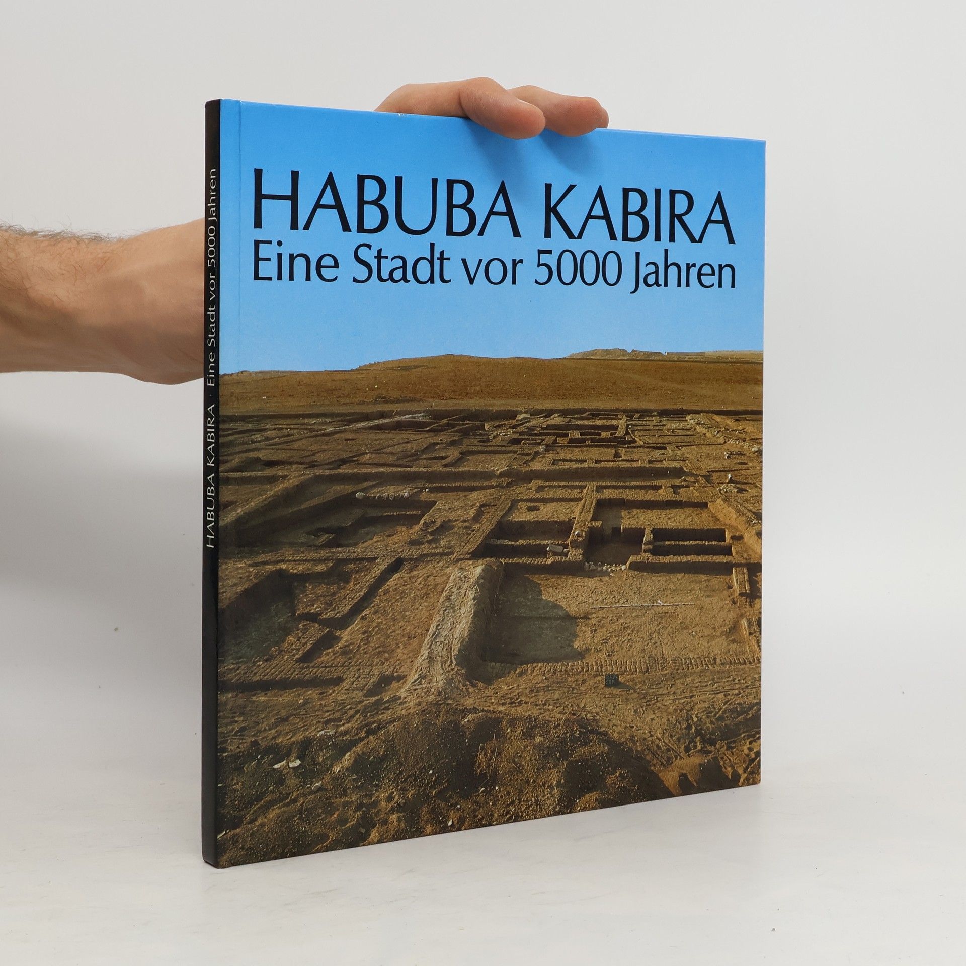 Eva Strommenger Habuba Kabira. Eine Stadt vor 5000 Jahren
