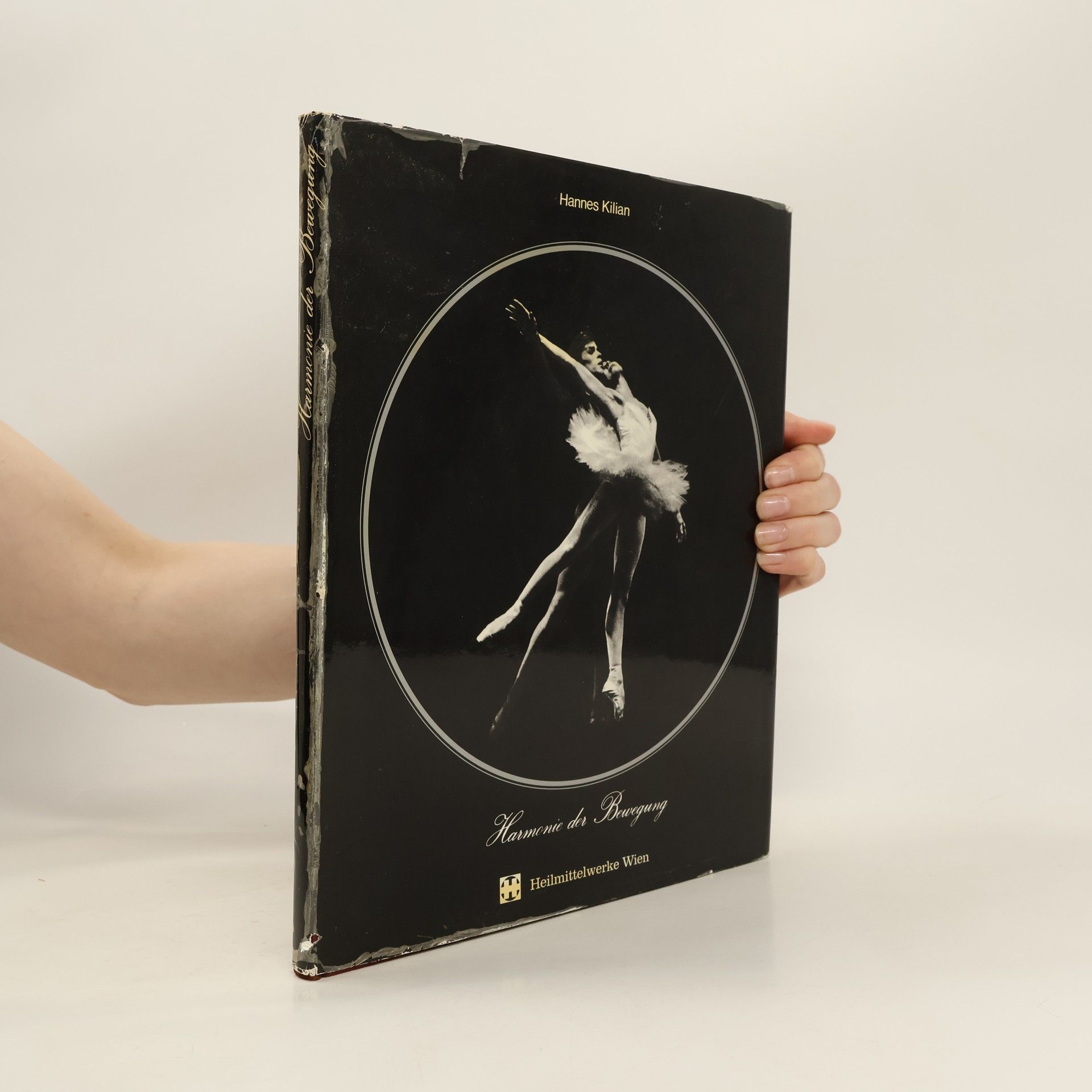 Hannes Kilian Harmonie der Bewegung