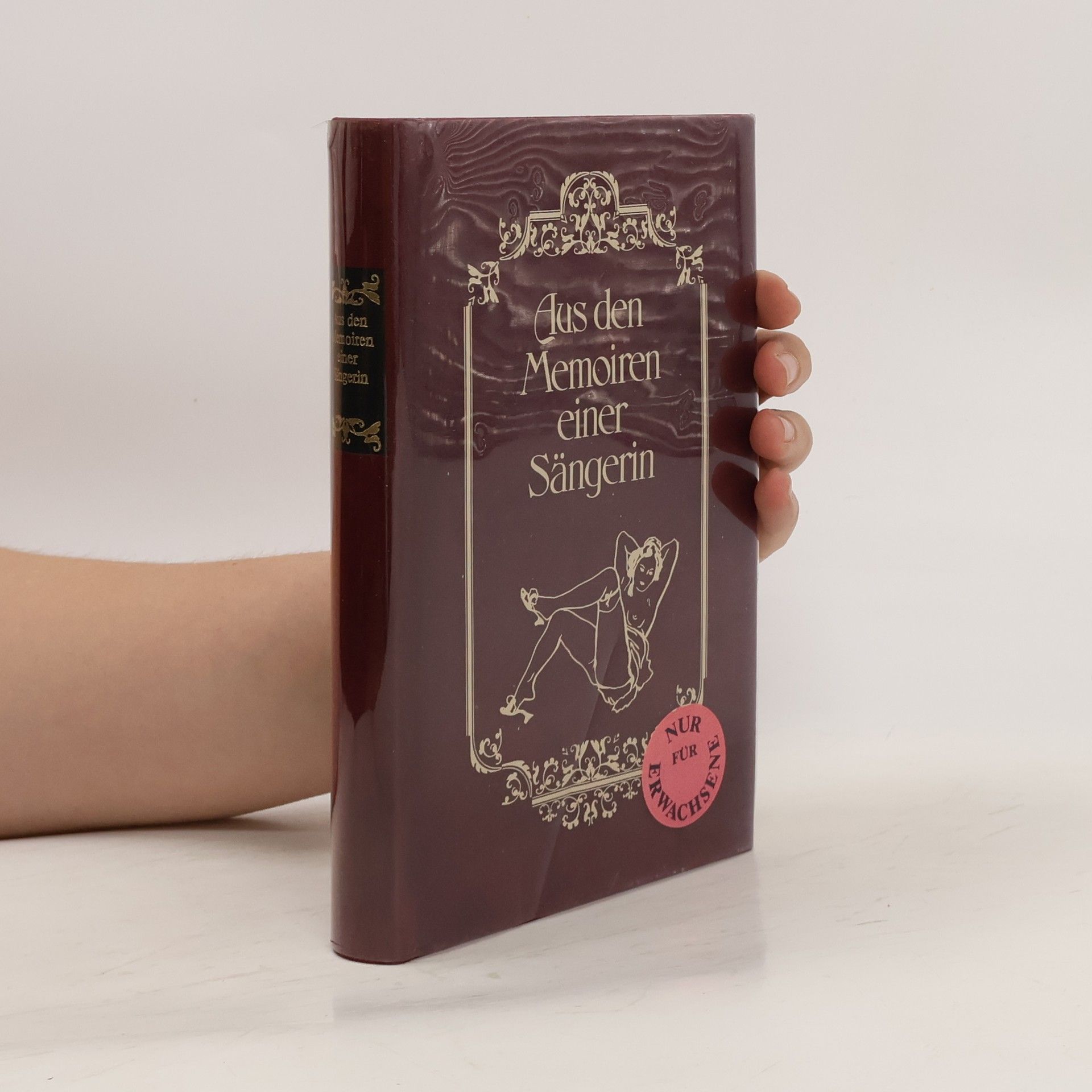 Kolektiv autorů Aus den Memoiren einer Sängerin