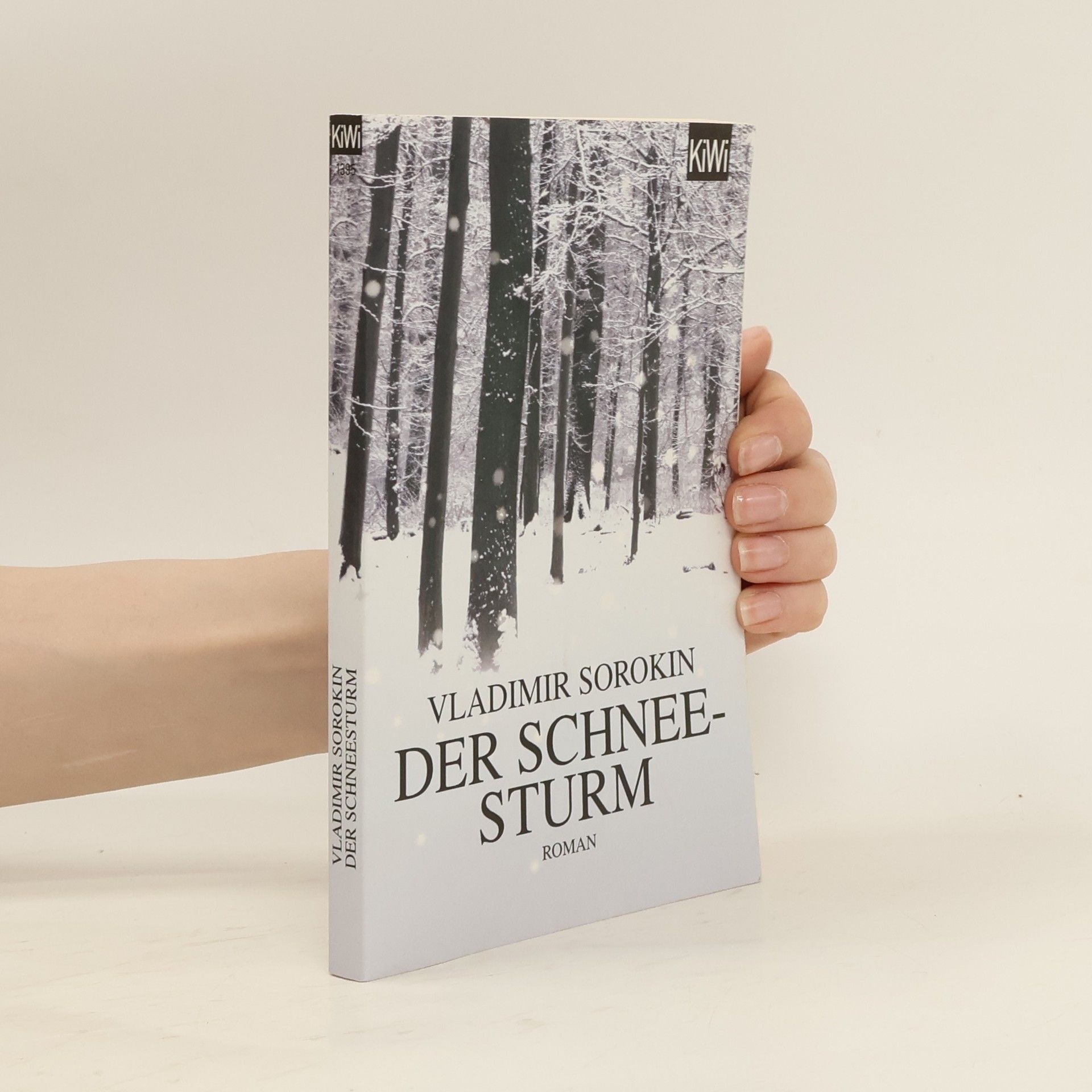 Wladimir Georgijewitsch Sorokin Der Schneesturm