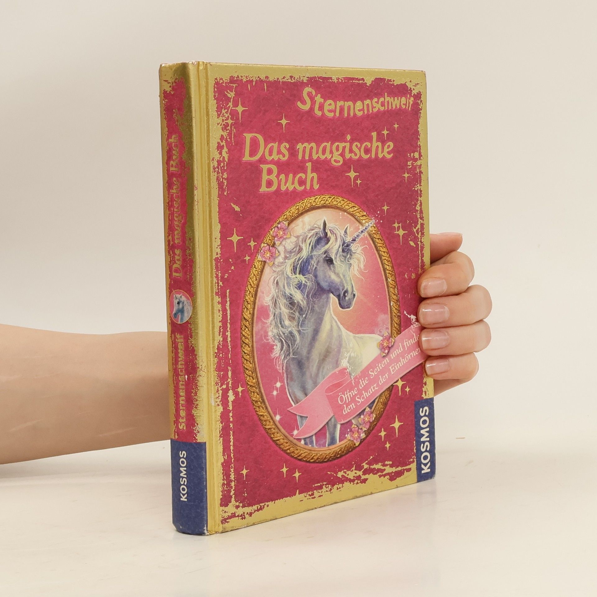 Carolin Ina Schröter Sternenschweif - das magische Buch