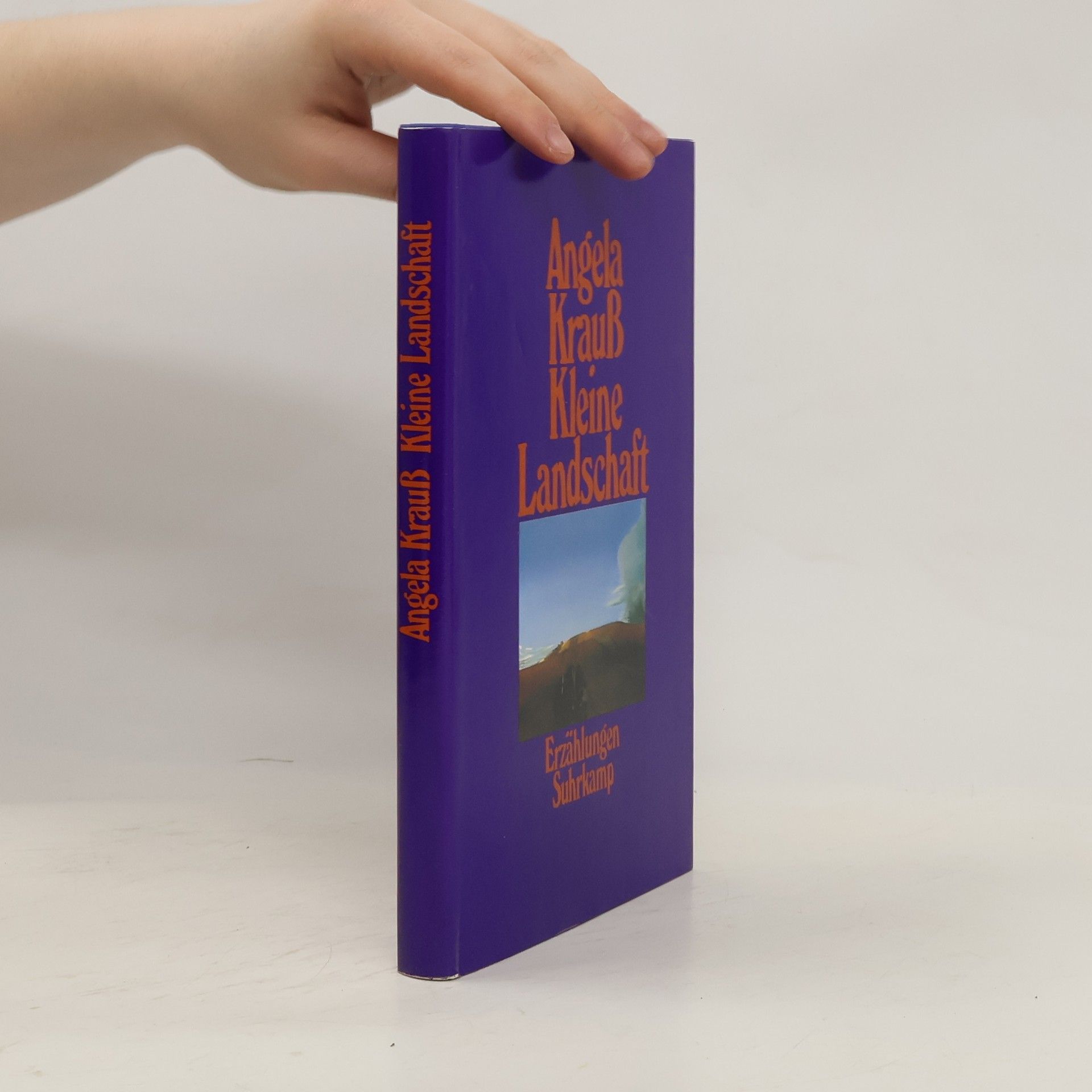Angela Krauss Kleine Landschaft
