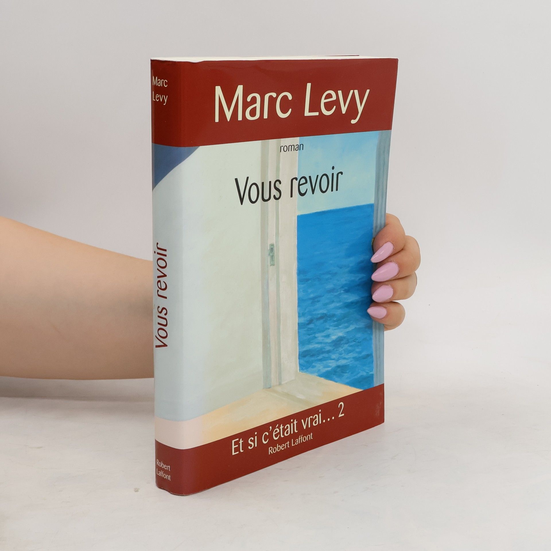 Marc Lévy Vous revoir