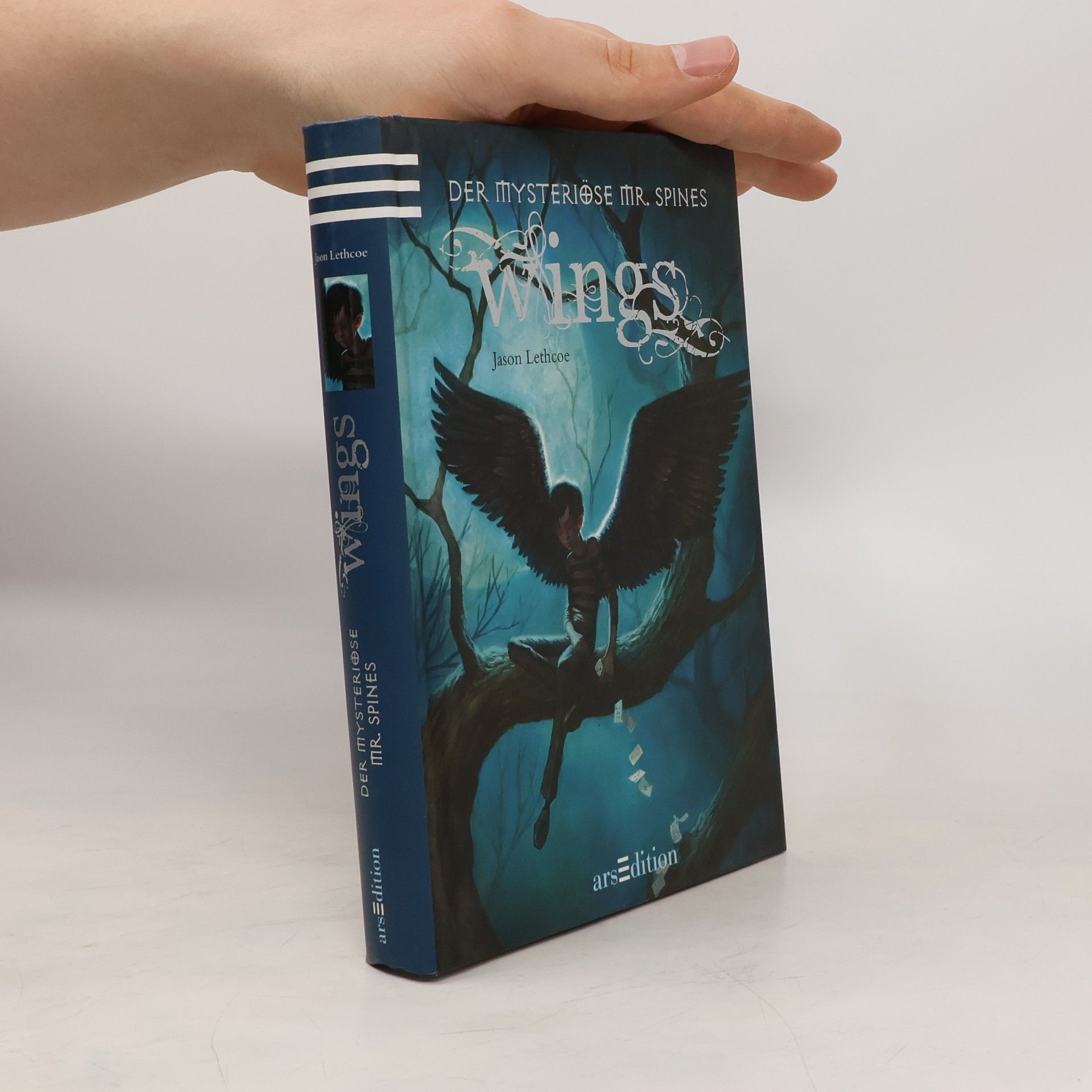 Jason Lethcoe Der mysteriöse Mr. Spines: Wings