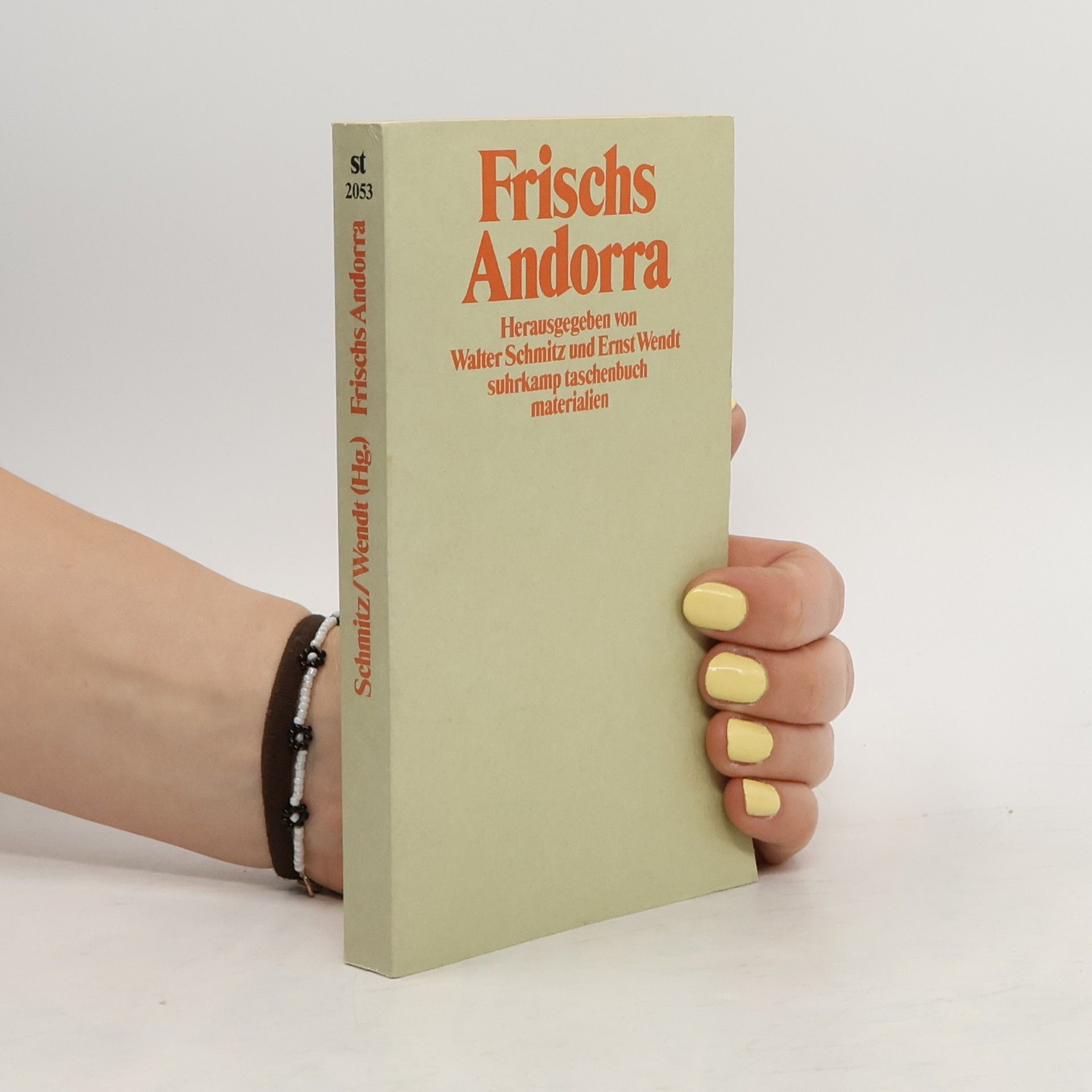 Walter Schmitz Frischs "Andorra"