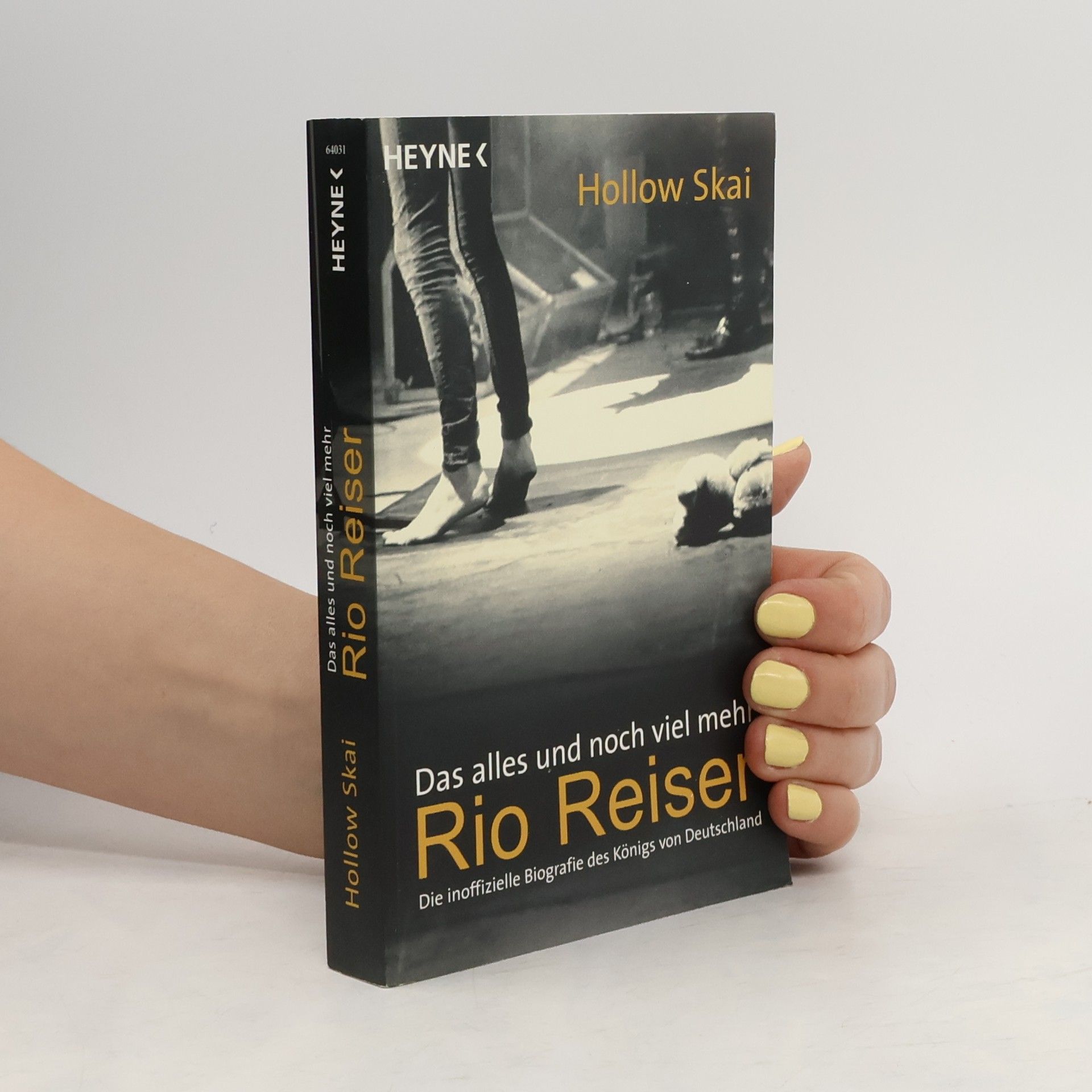 Hollow Skai Das alles und noch viel mehr - Rio Reiser