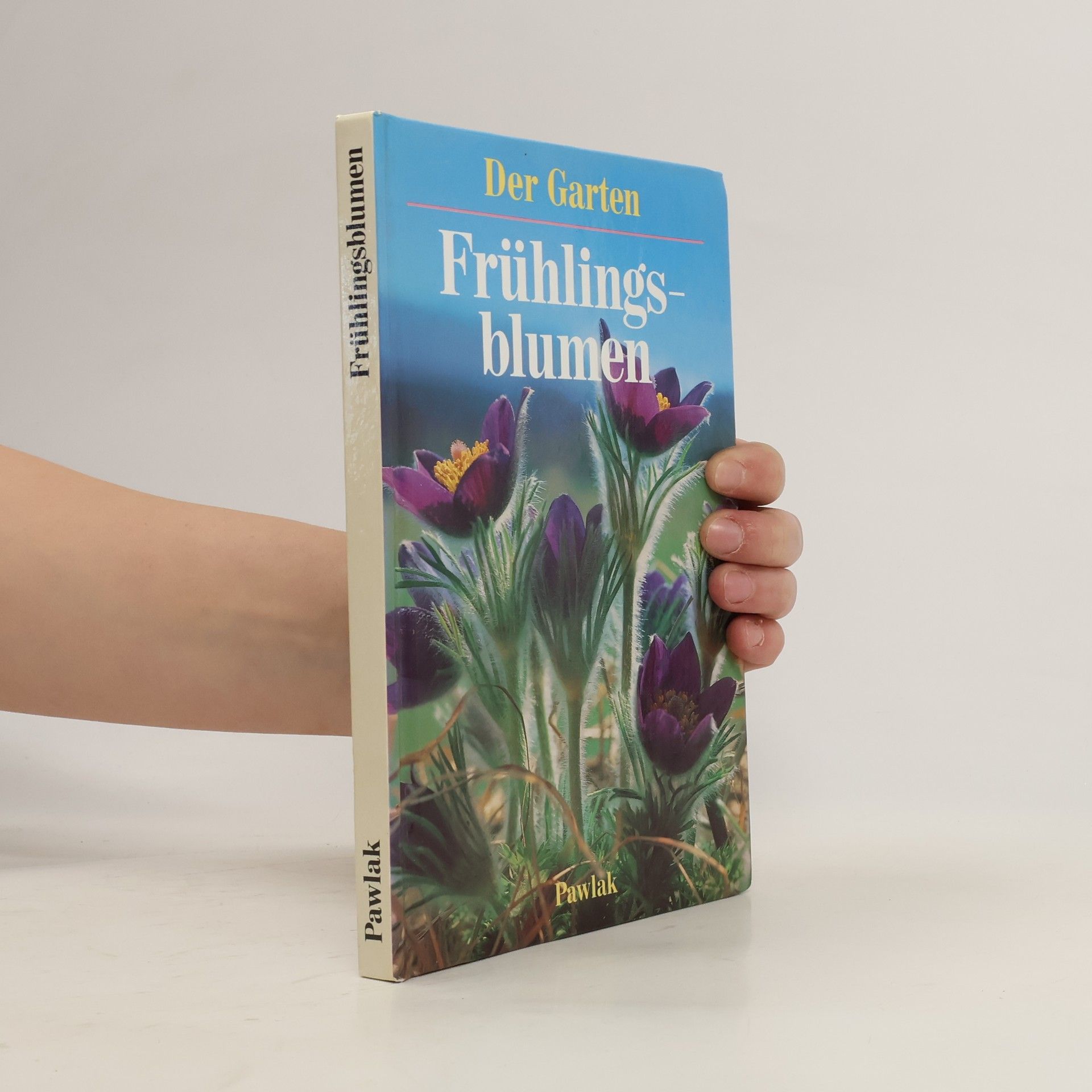 Ute York Frühlingsblumen