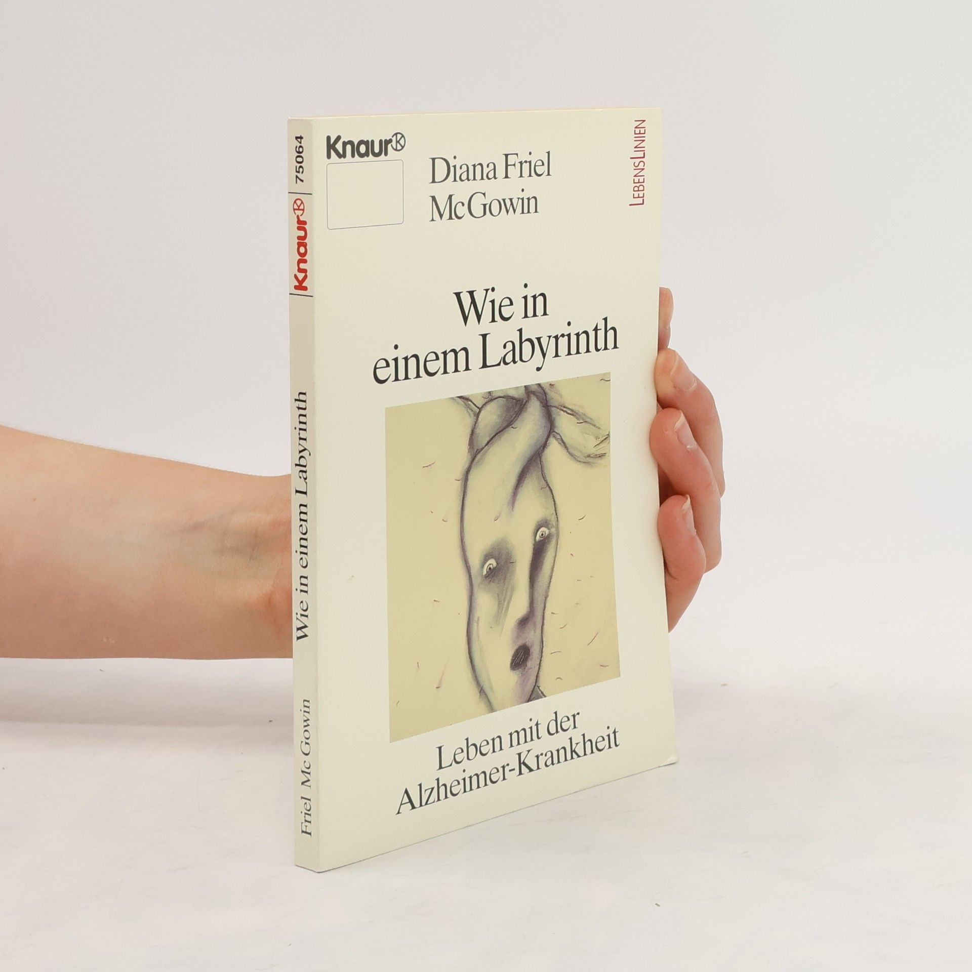 Diana Friel MacGowin Wie in einem Labyrinth