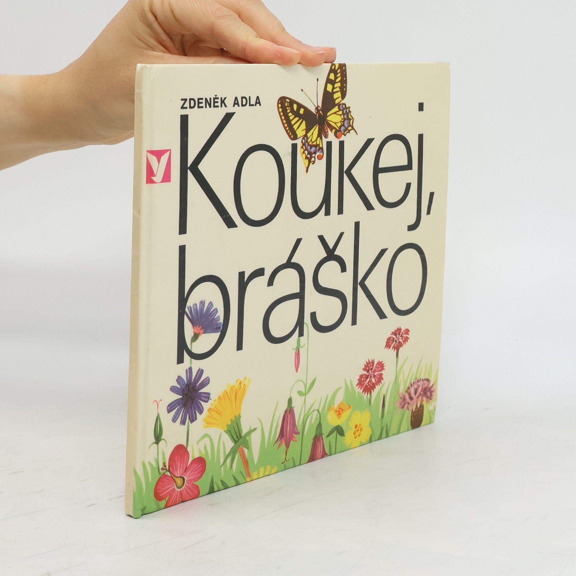 Zdeněk Adla Koukej, bráško!
